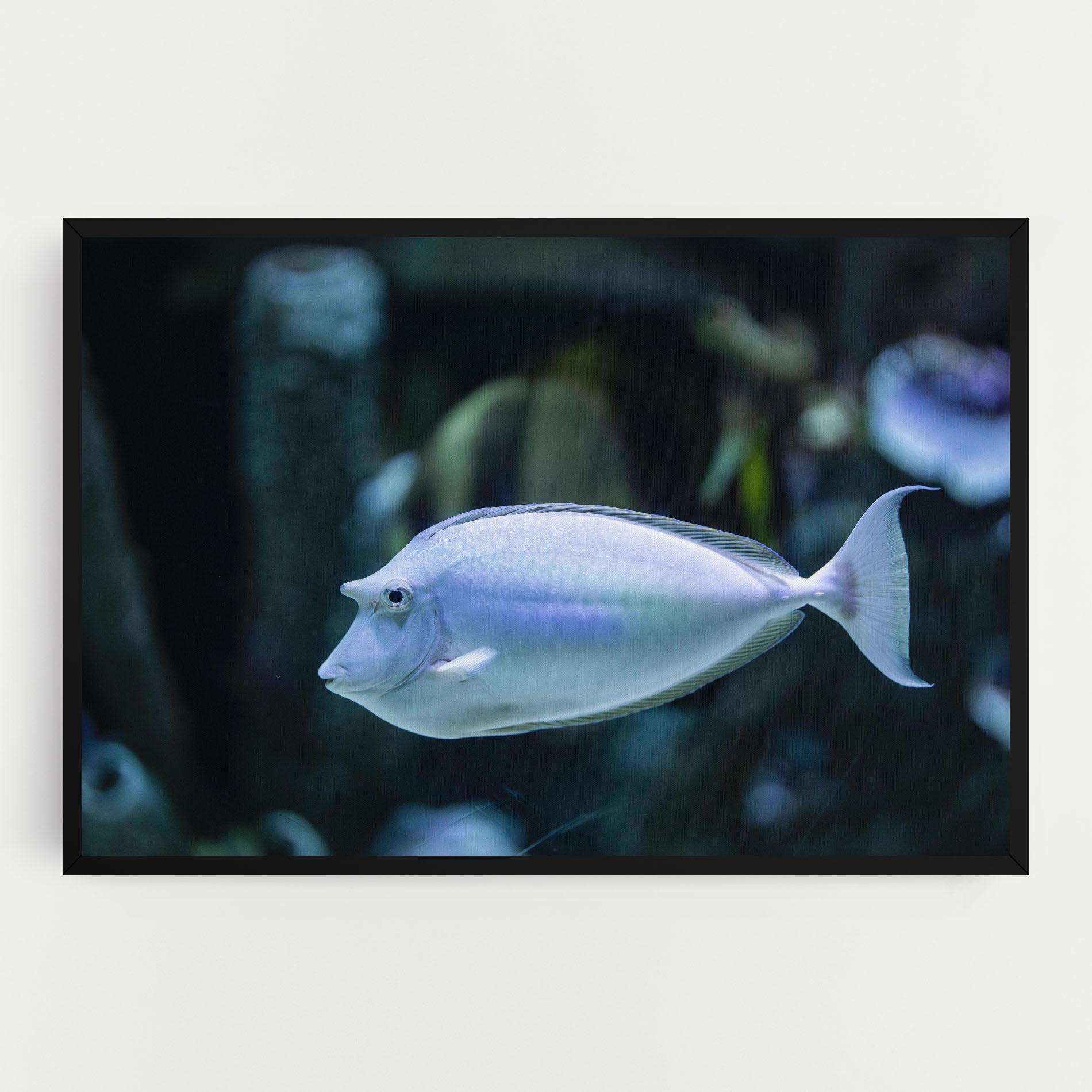 Vászonkép Funny Face Fish mockup 0