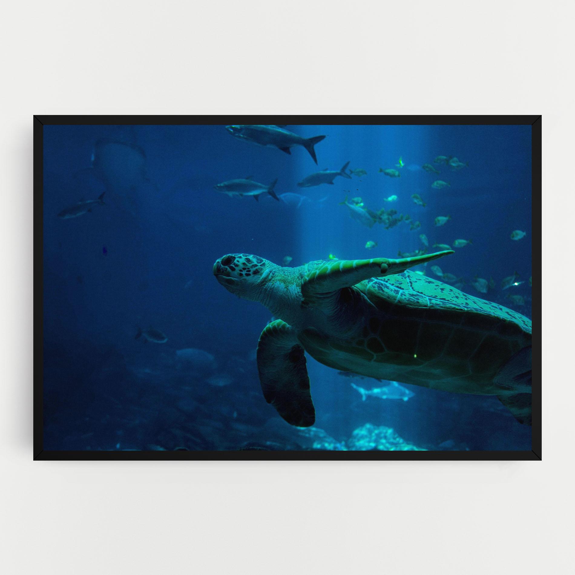 Vászonkép Green Turtule mockup 0