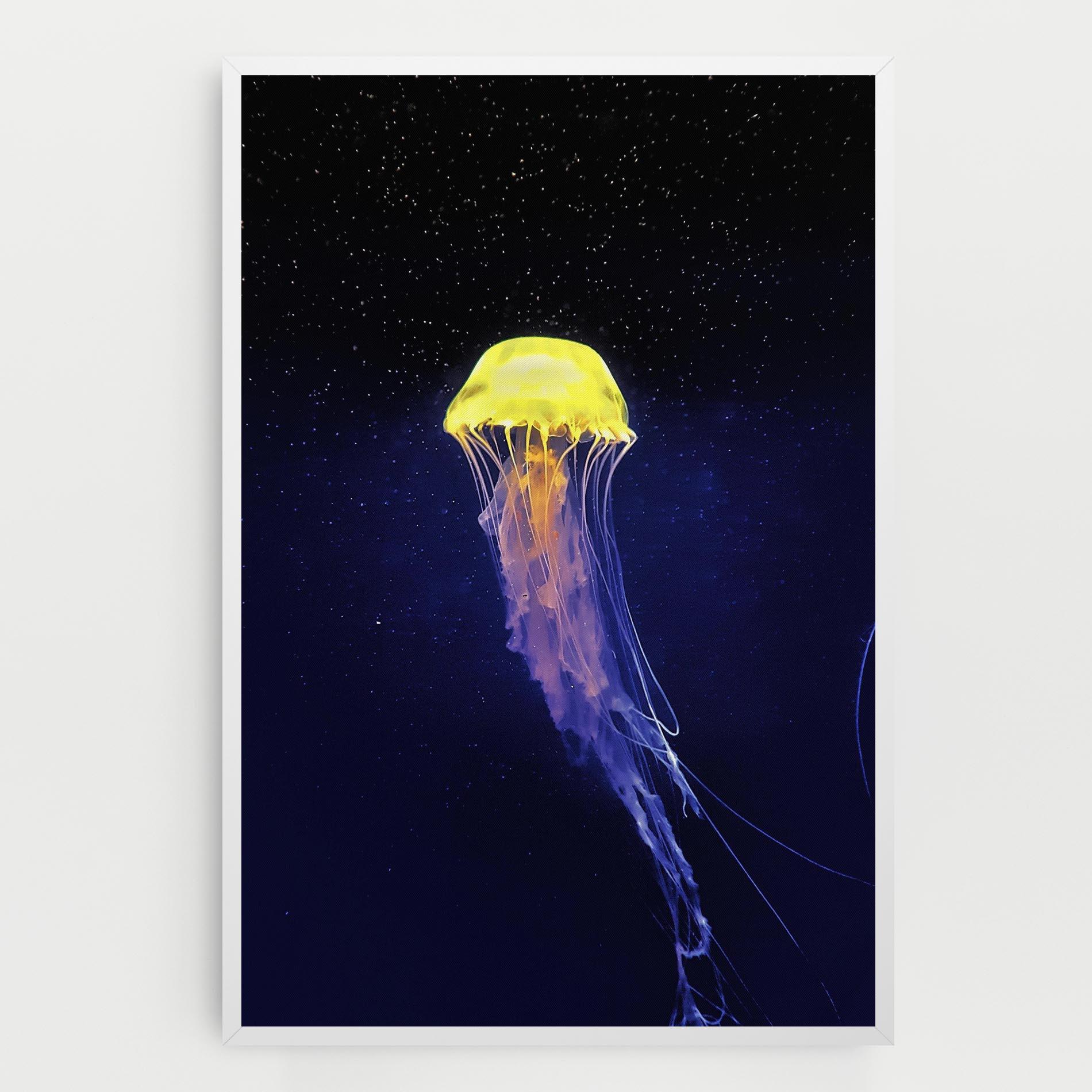 Vászonkép Purple Jellyfish mockup 0