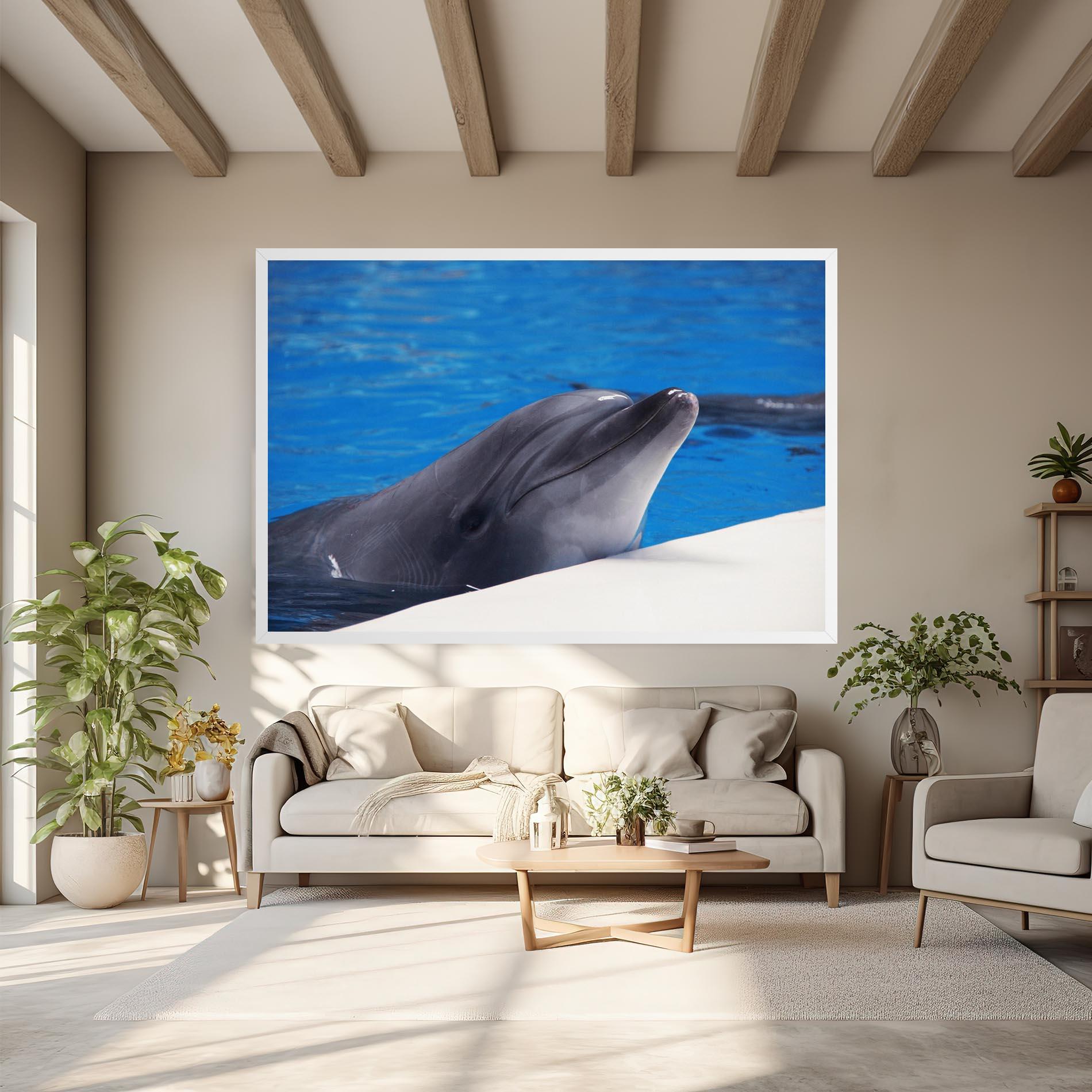 Vászonkép Cute Dolphin mockup 6