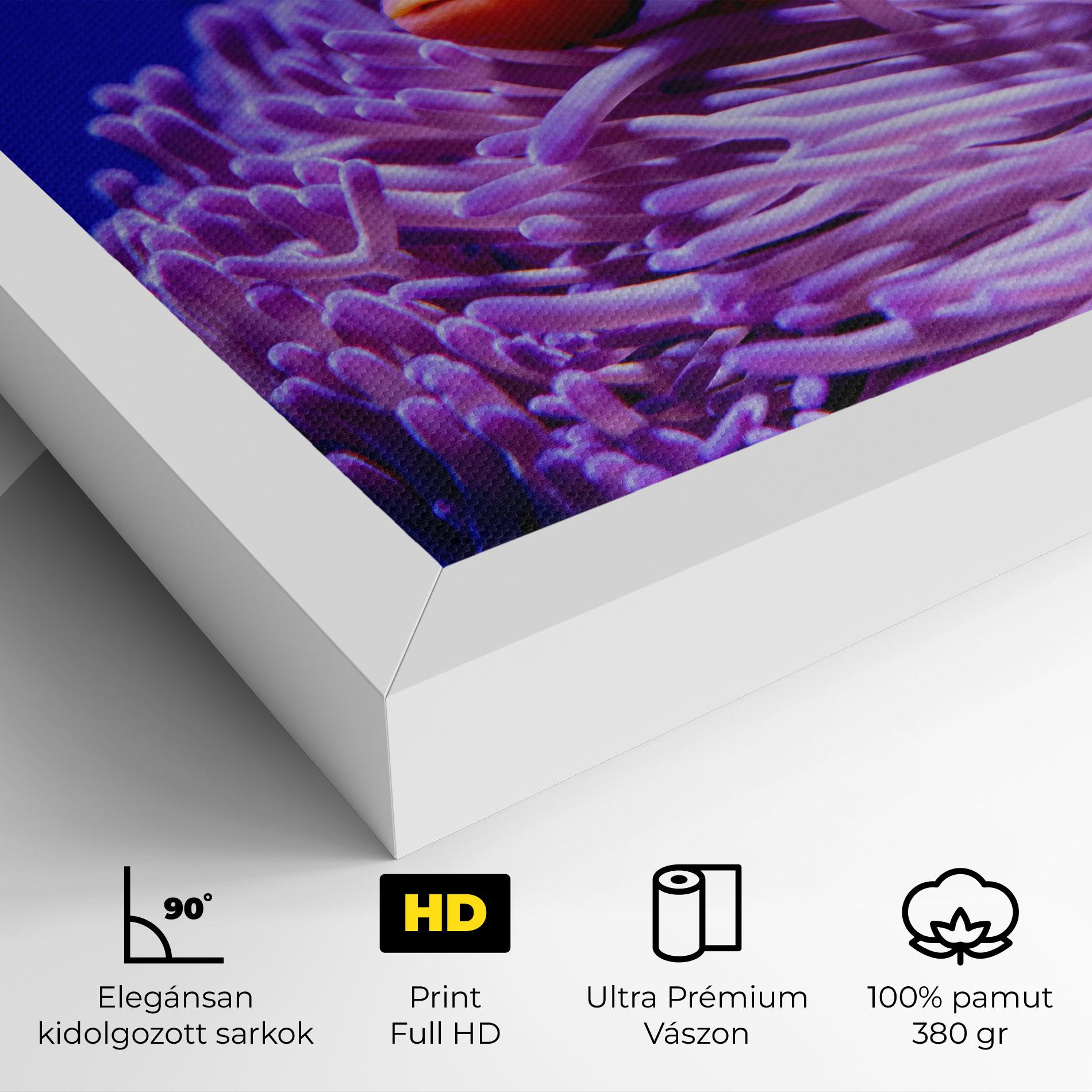 Vászonkép Angry Nemo mockup 4