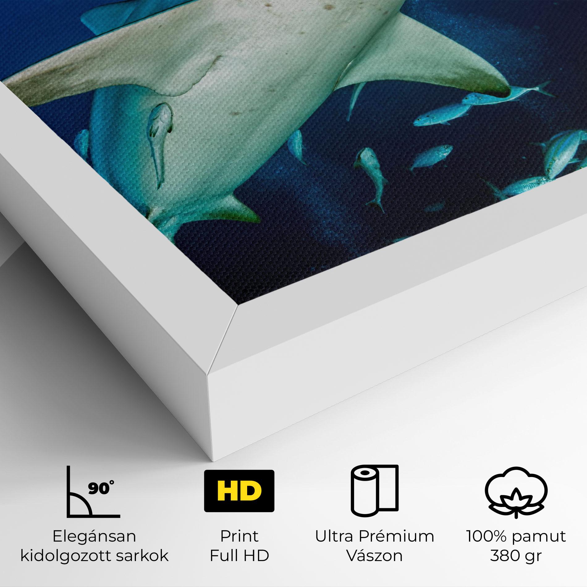 Vászonkép Bull Shark mockup 4