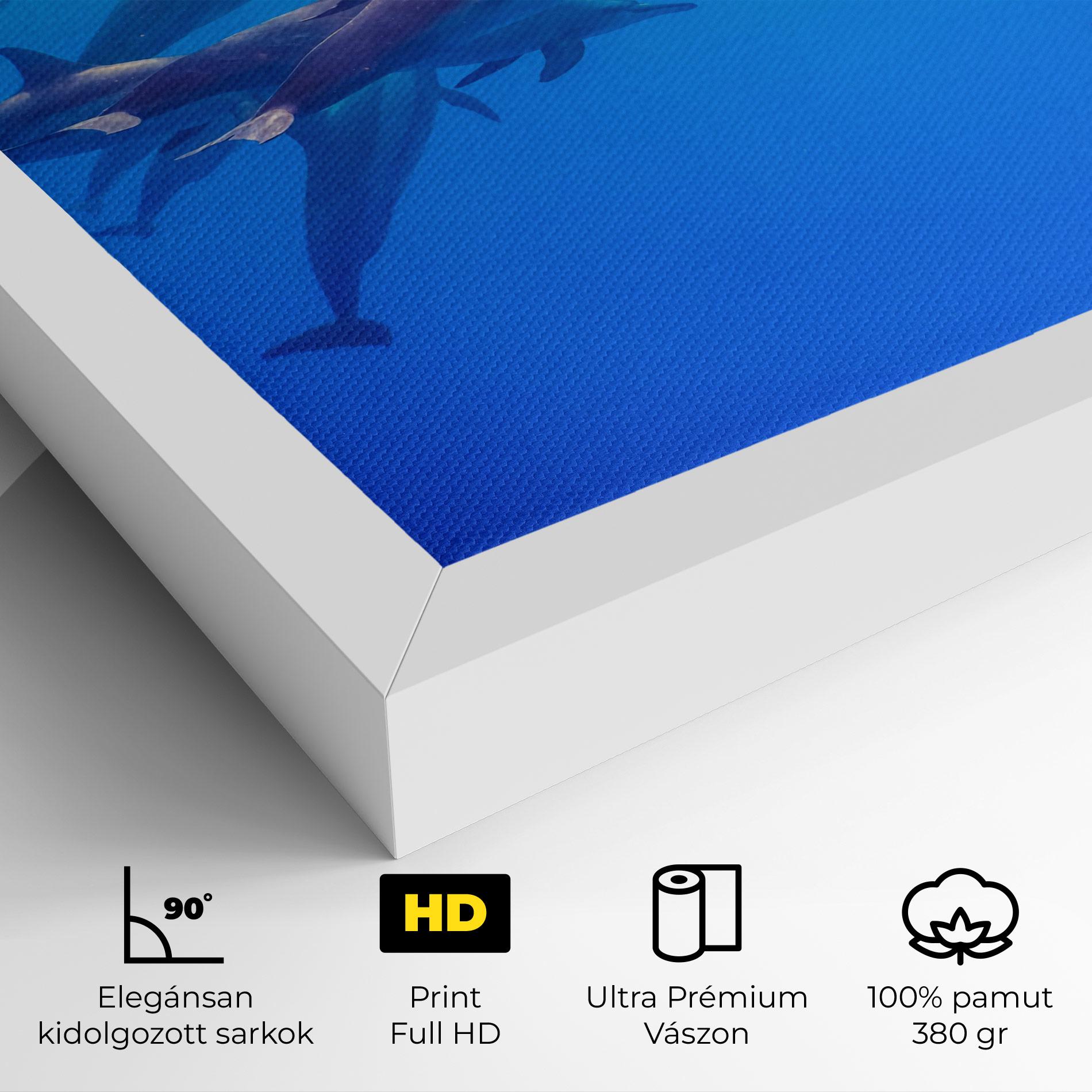 Vászonkép Dolphin Family mockup 4