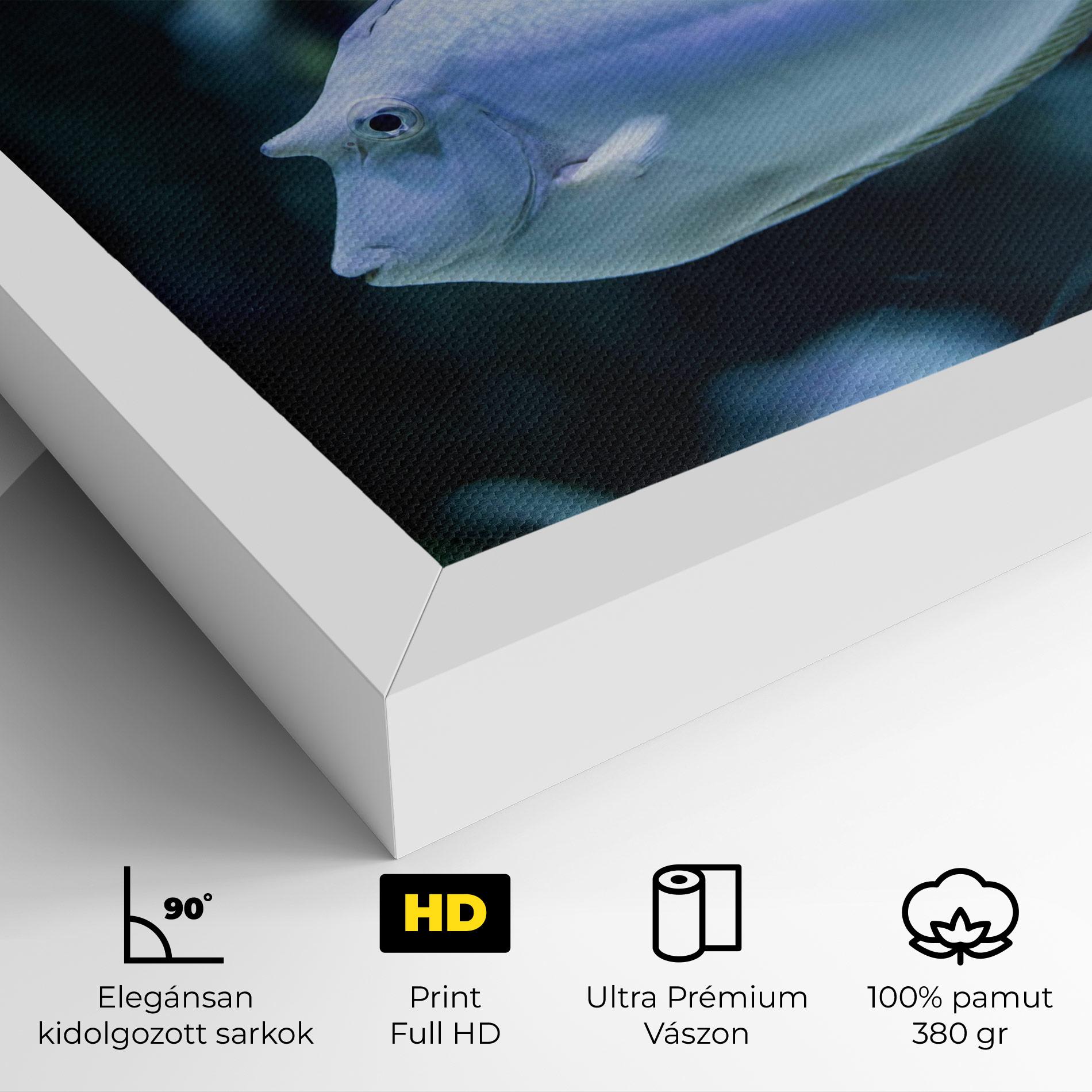 Vászonkép Funny Face Fish mockup 4