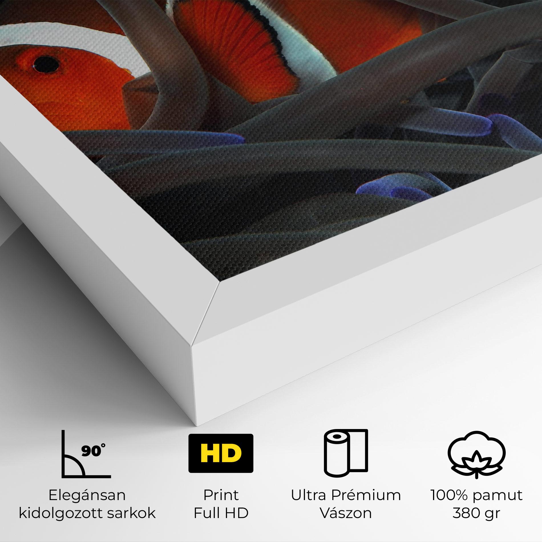 Vászonkép Nemo Hiding mockup 4