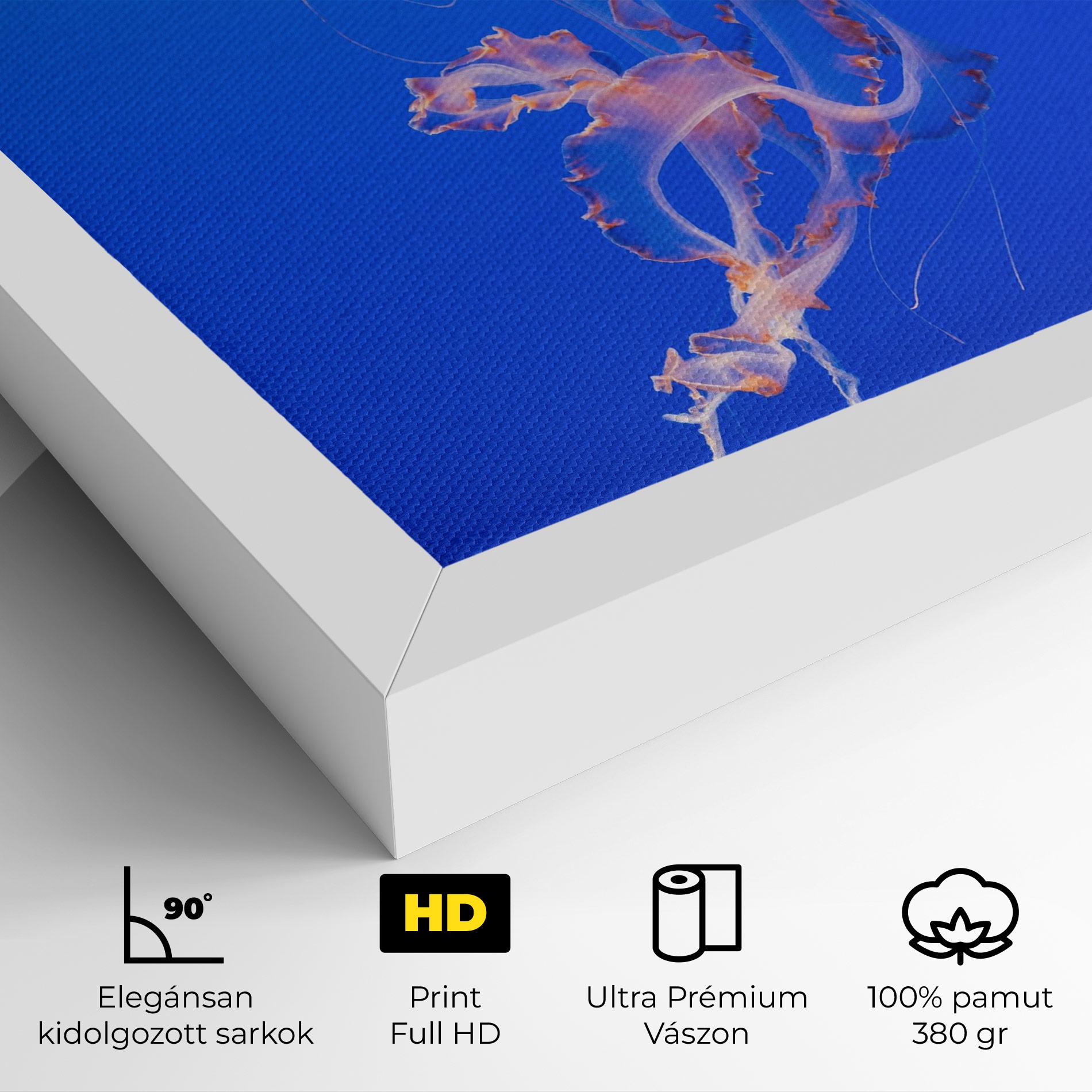 Vászonkép Pretty White Jellyfish mockup 4