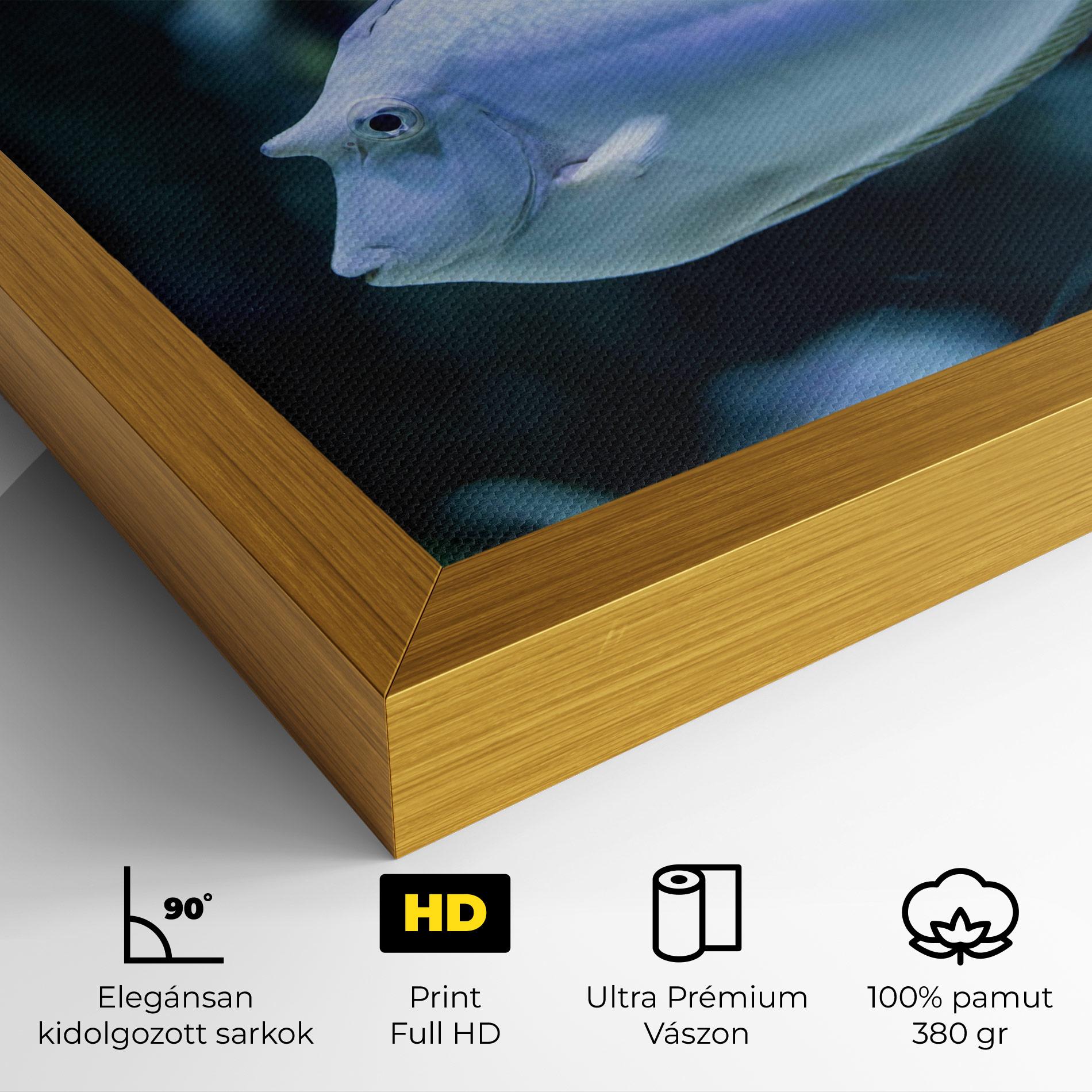 Vászonkép Funny Face Fish mockup 4