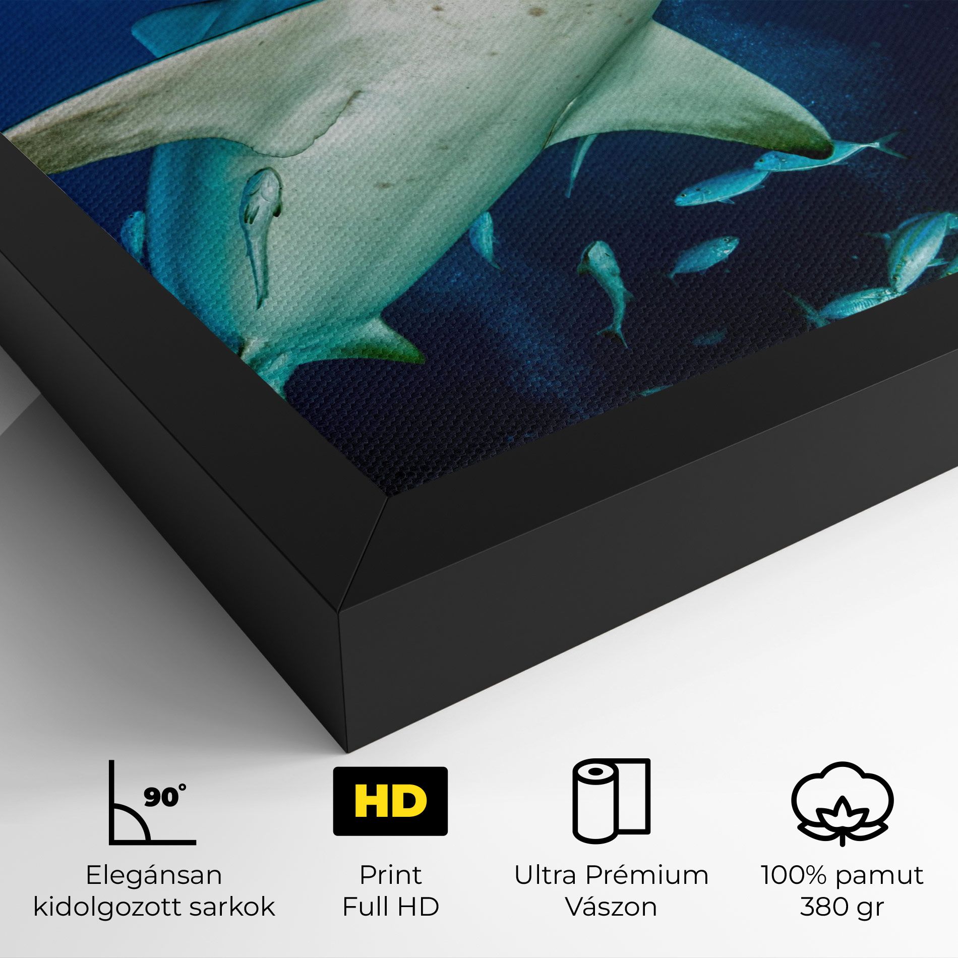 Bull Shark mockup 4