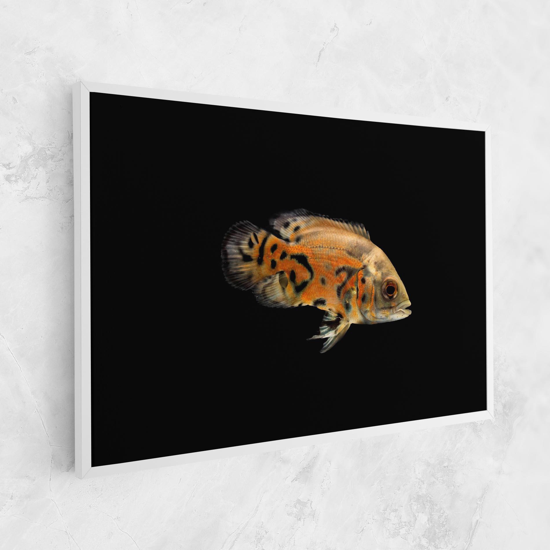 Vászonkép Cute Brown Fish mockup 1