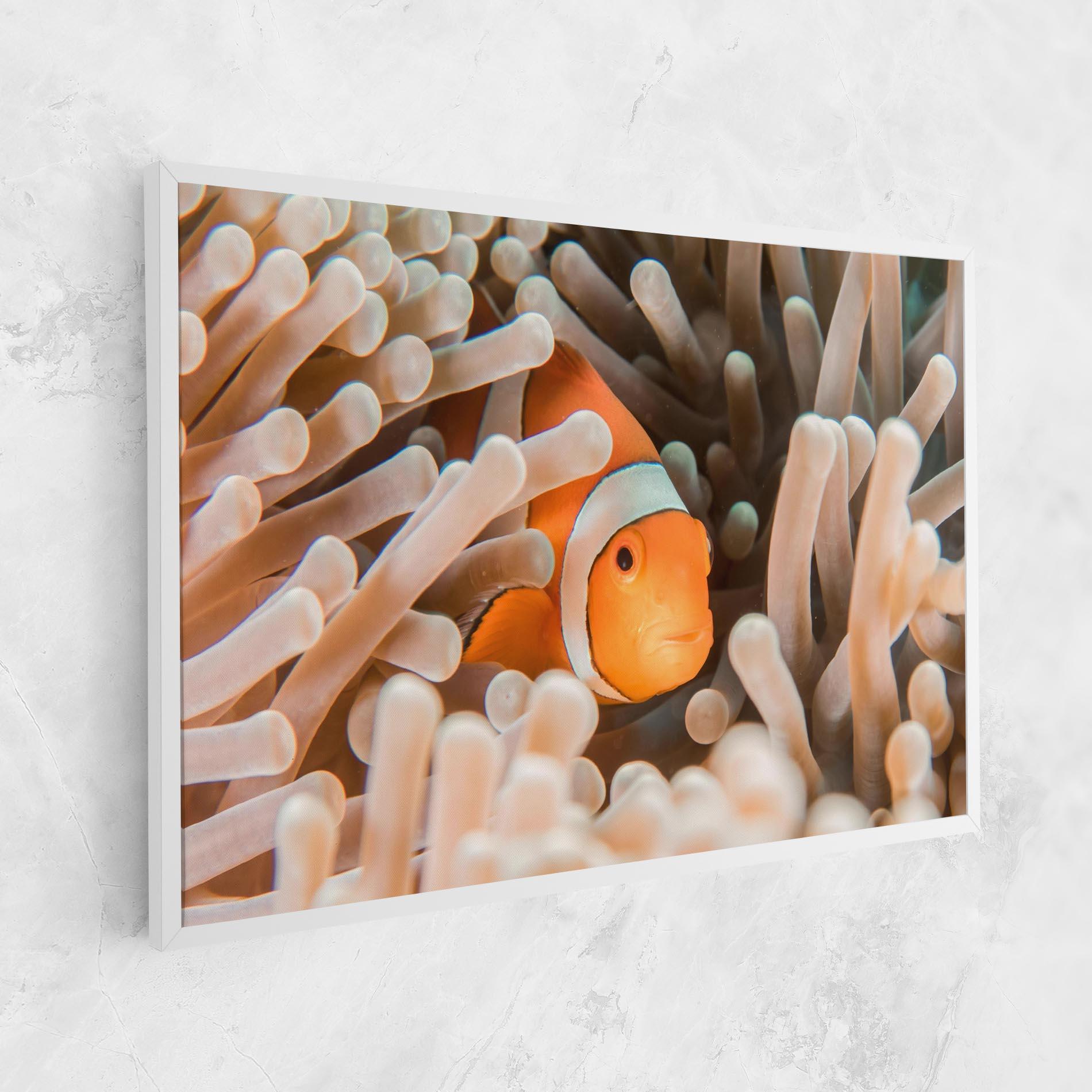 Vászonkép Cute Nemo mockup 1