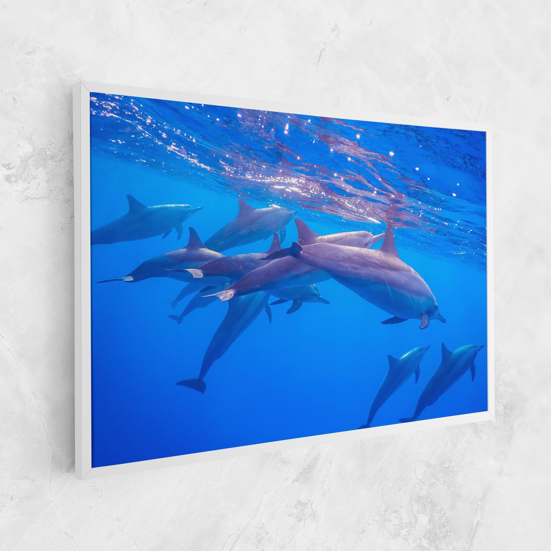Vászonkép Dolphin Family mockup 1