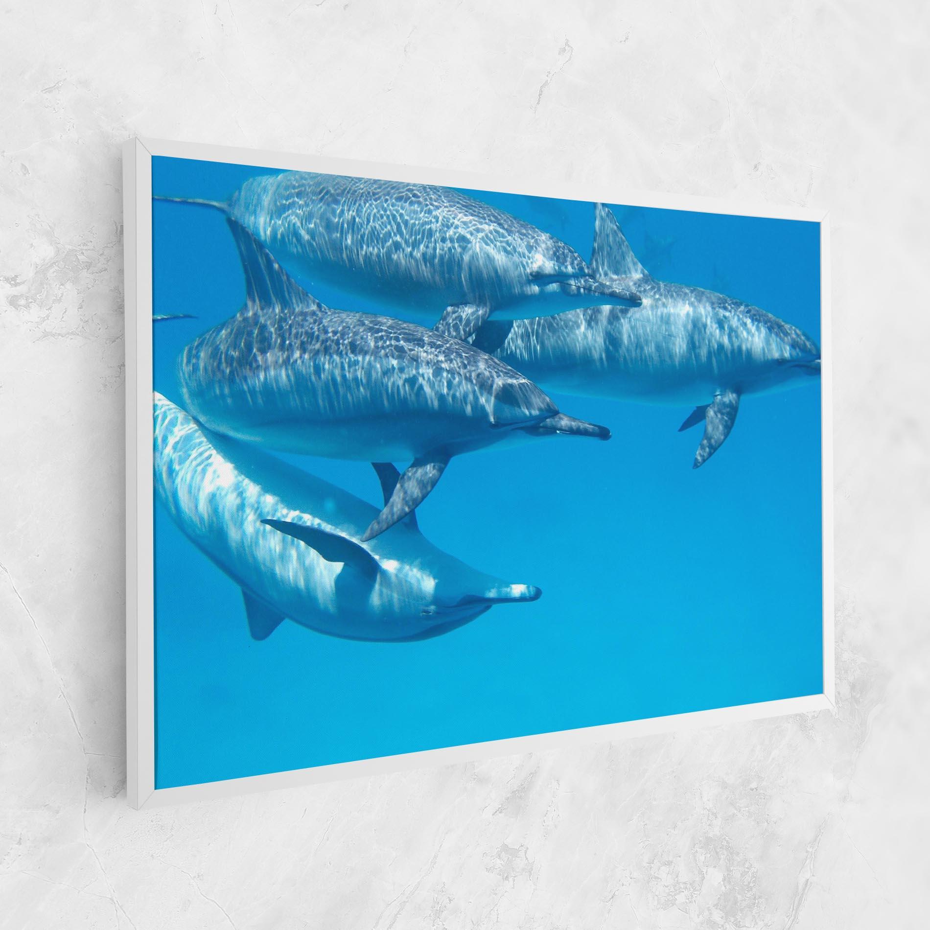 Vászonkép Family Of Dolphins mockup 1