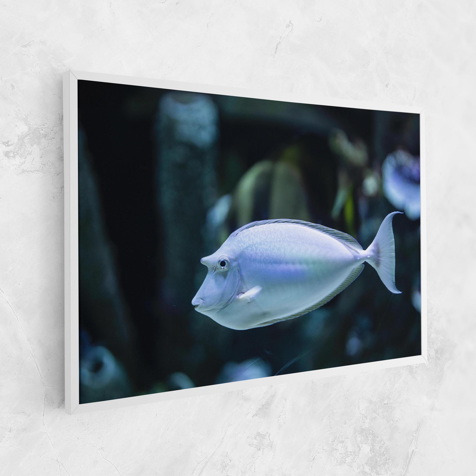 Vászonkép Funny Face Fish mockup 1