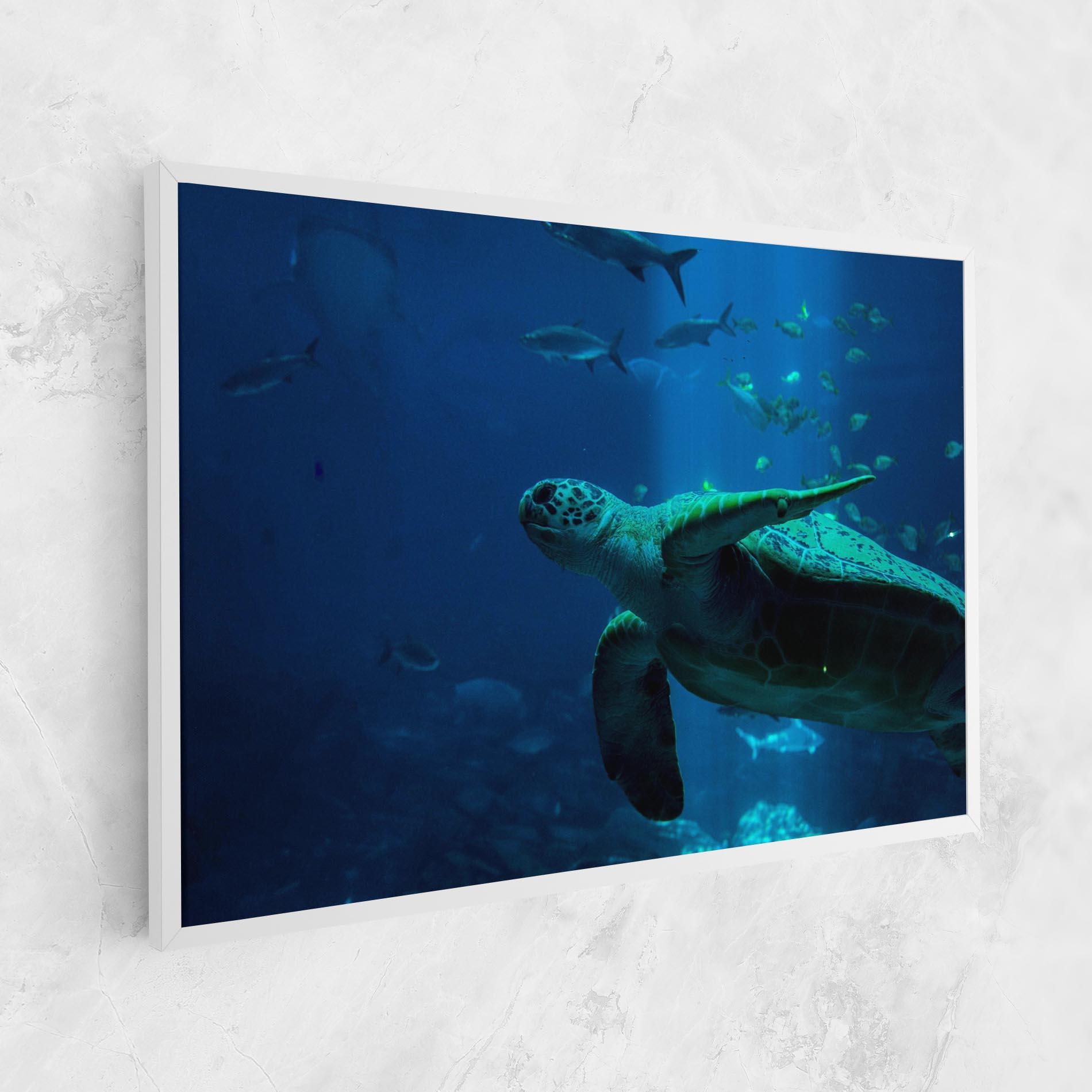 Vászonkép Green Turtule mockup 1