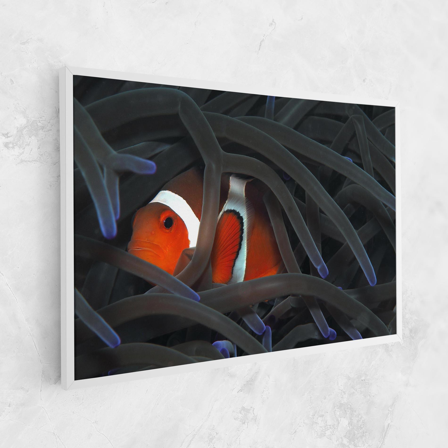 Vászonkép Nemo Hiding mockup 1