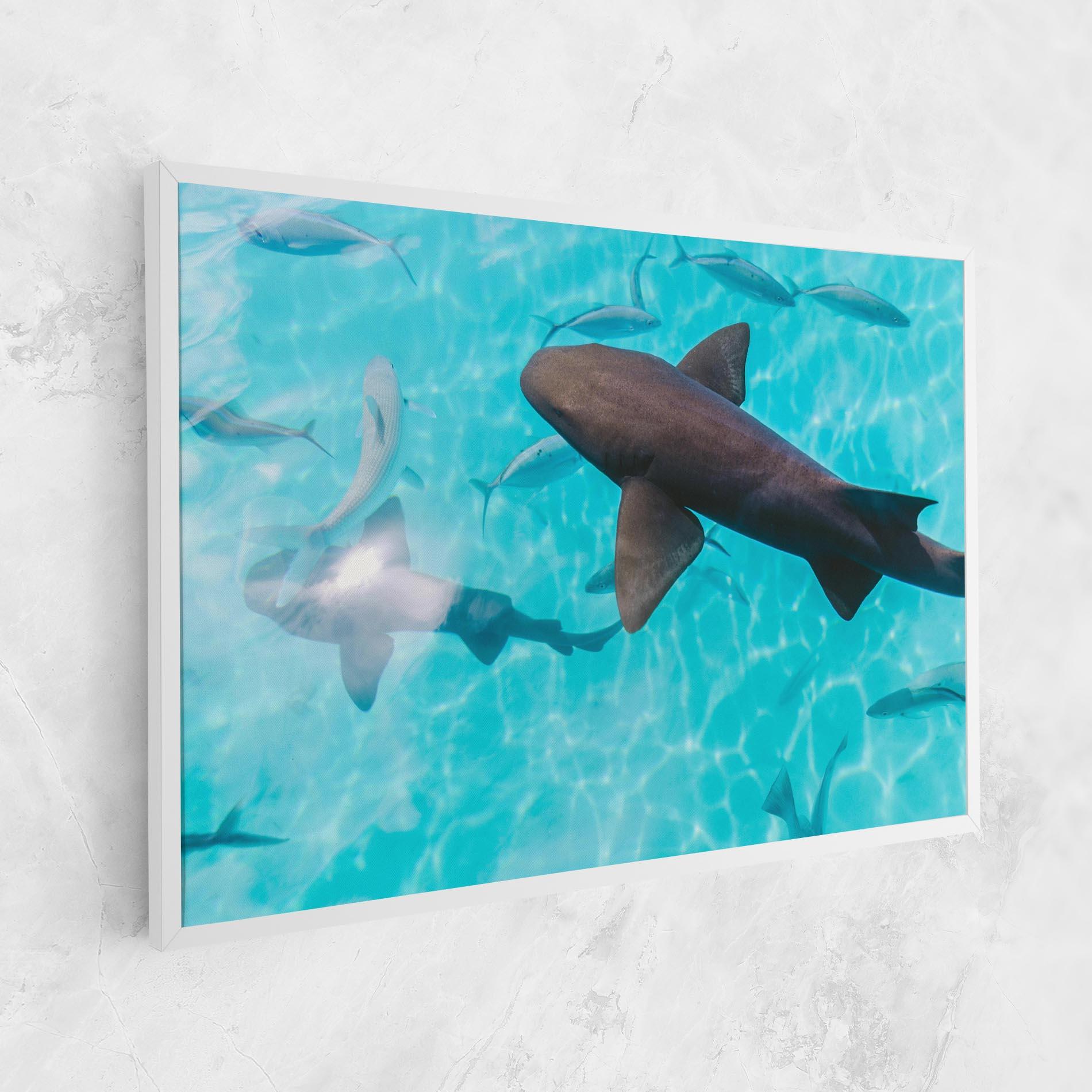 Vászonkép Pretty Shark mockup 1