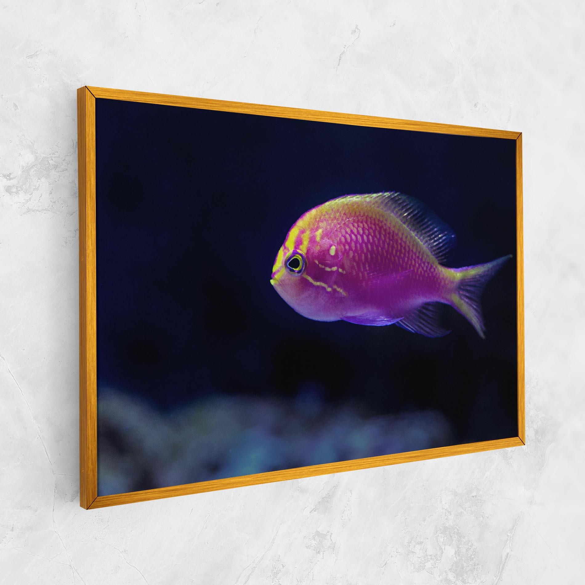 Vászonkép Angry Pink Fish mockup 1