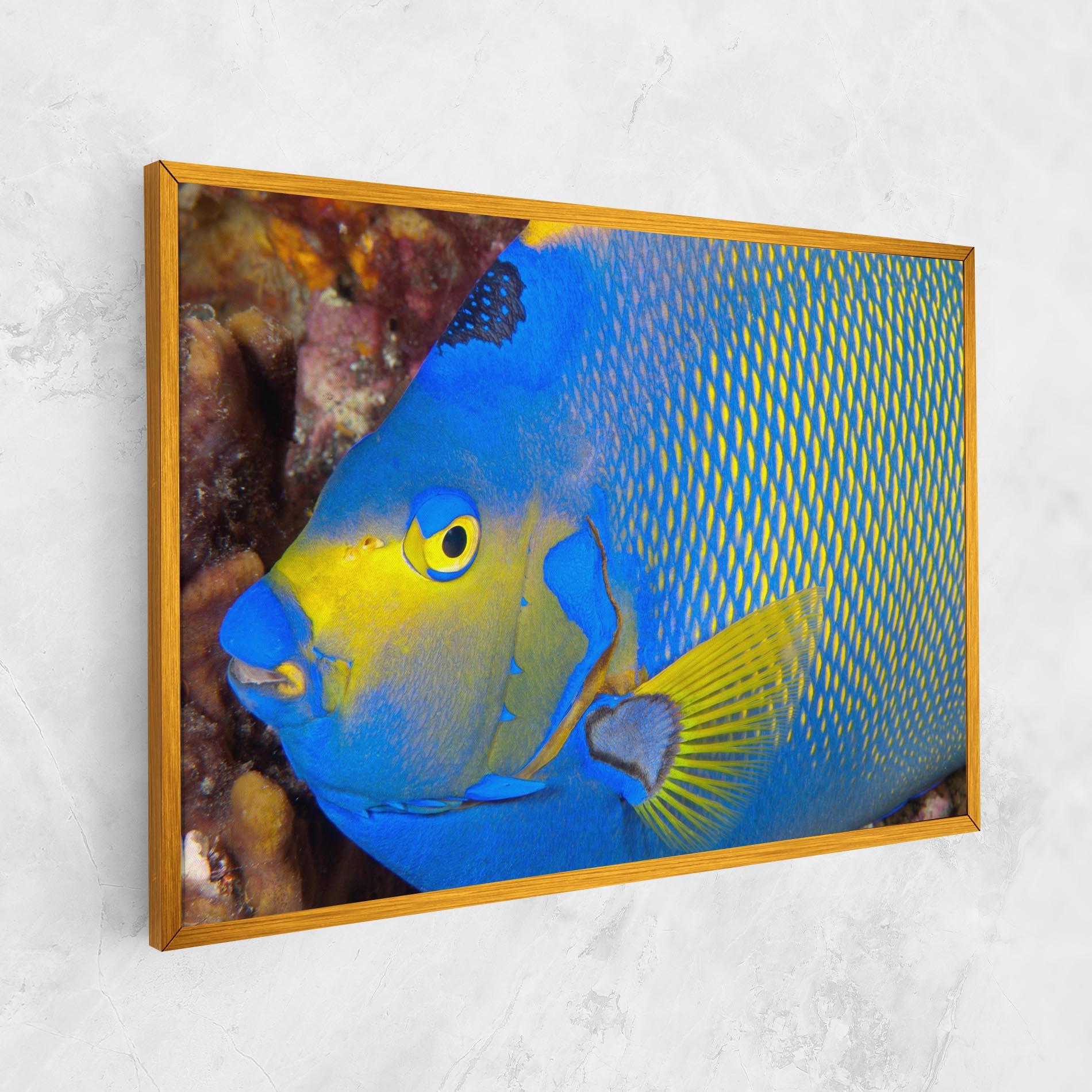 Vászonkép Blue Yellow Fish mockup 1
