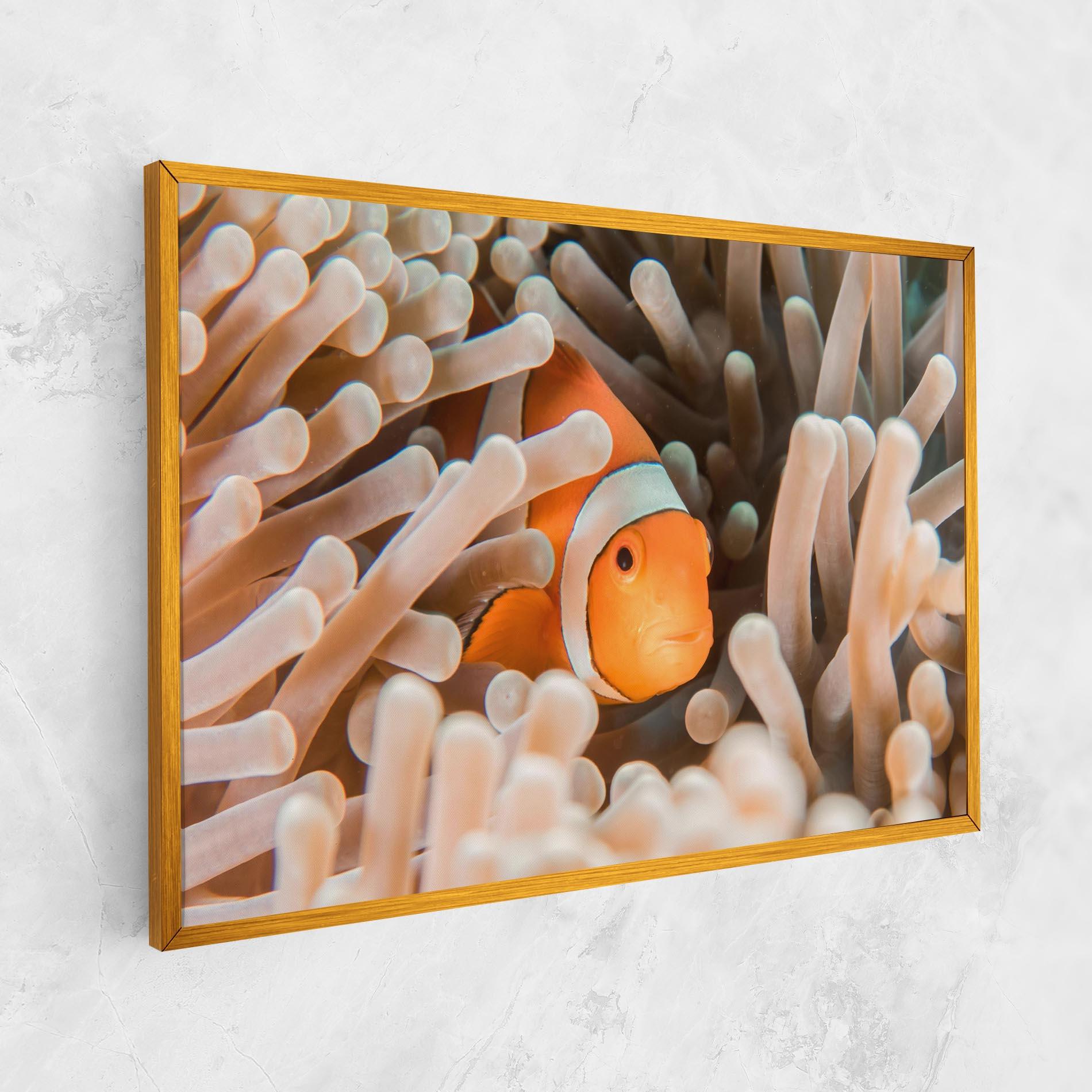 Vászonkép Cute Nemo mockup 1