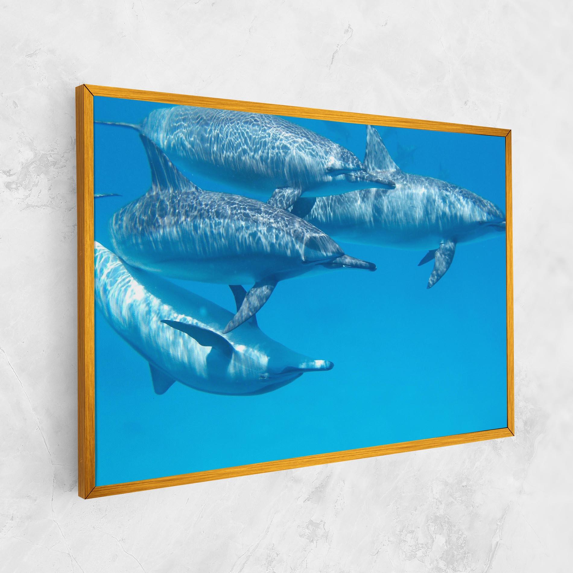 Vászonkép Family Of Dolphins mockup 1