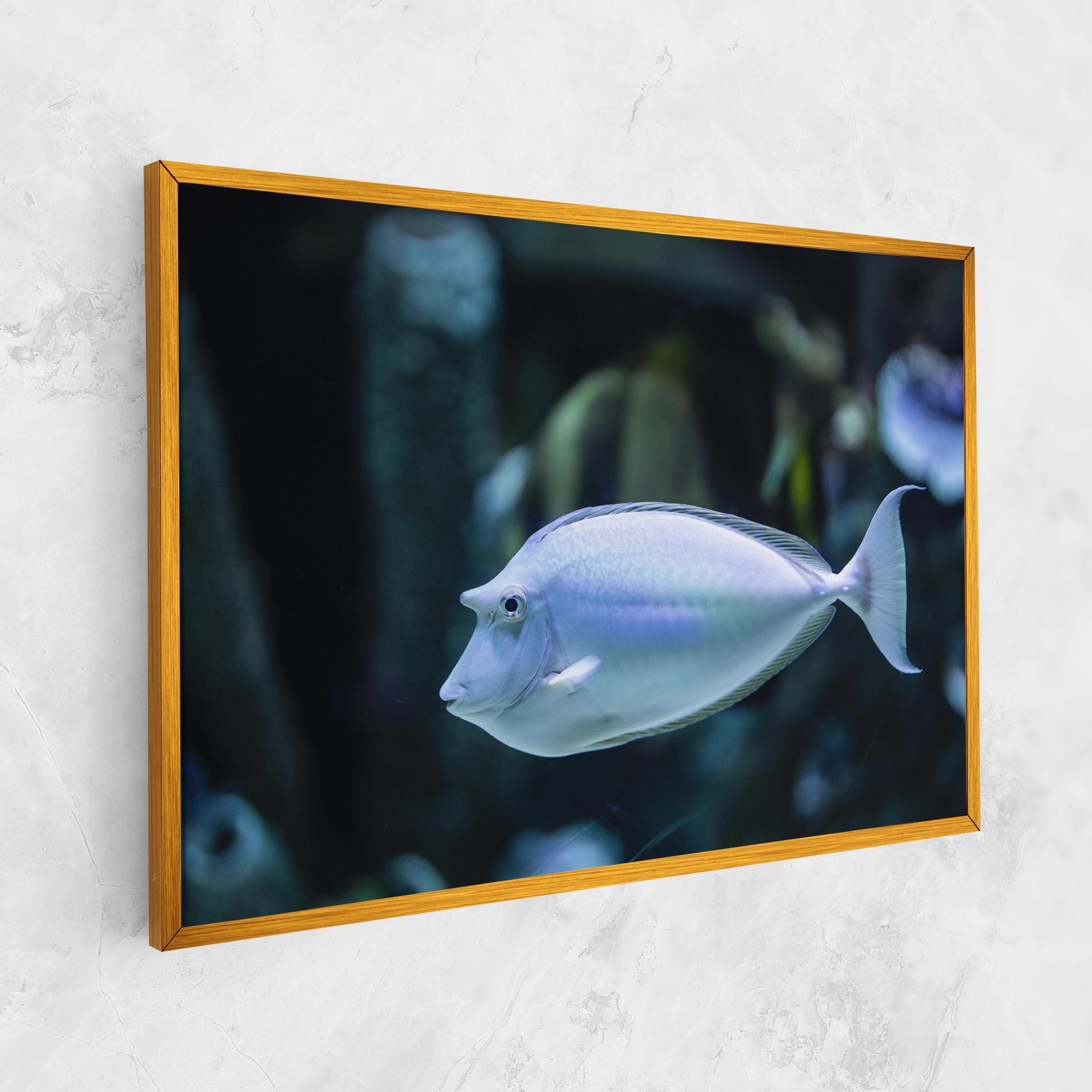 Vászonkép Funny Face Fish mockup 1