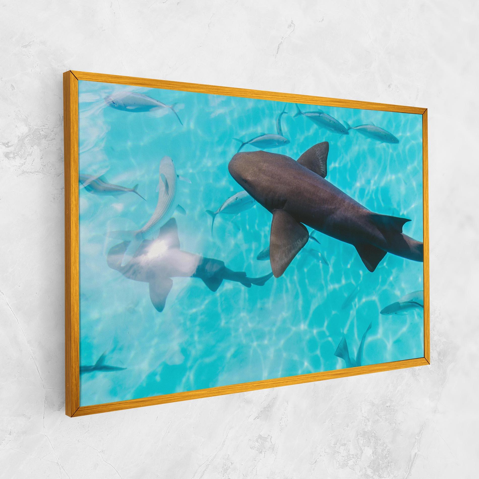 Vászonkép Pretty Shark mockup 1