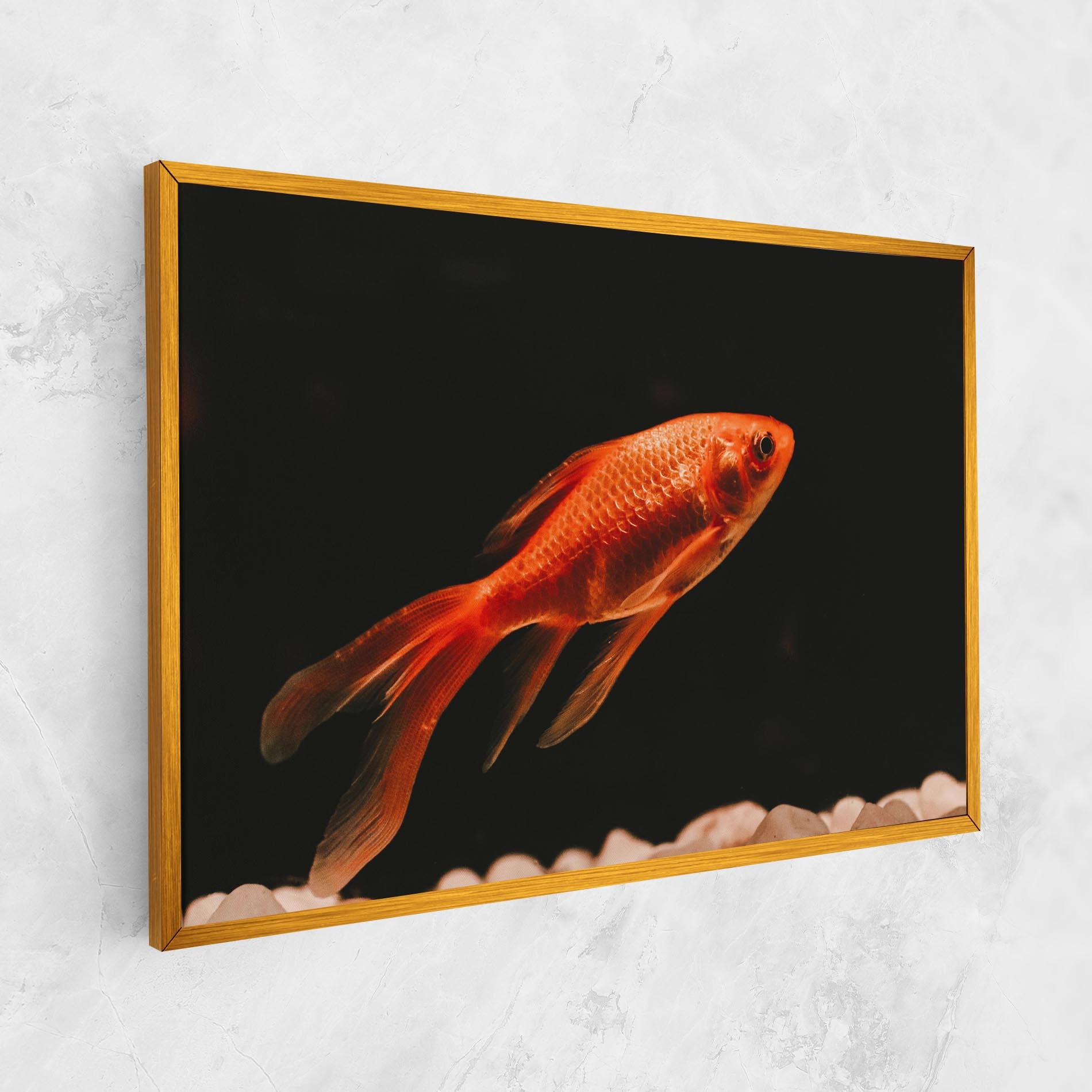 Vászonkép Small Orange Fish mockup 1