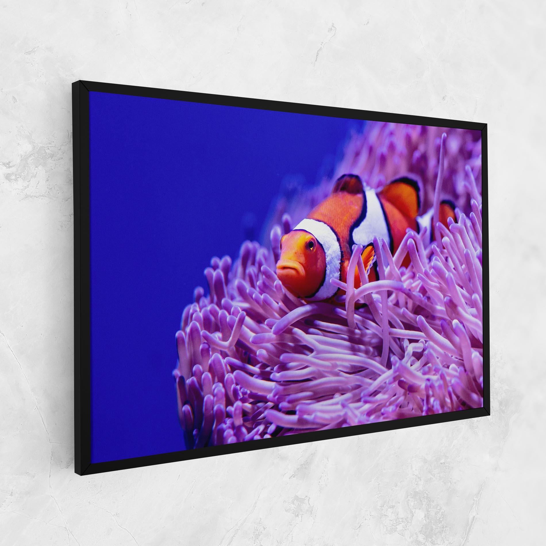 Vászonkép Angry Nemo mockup 1