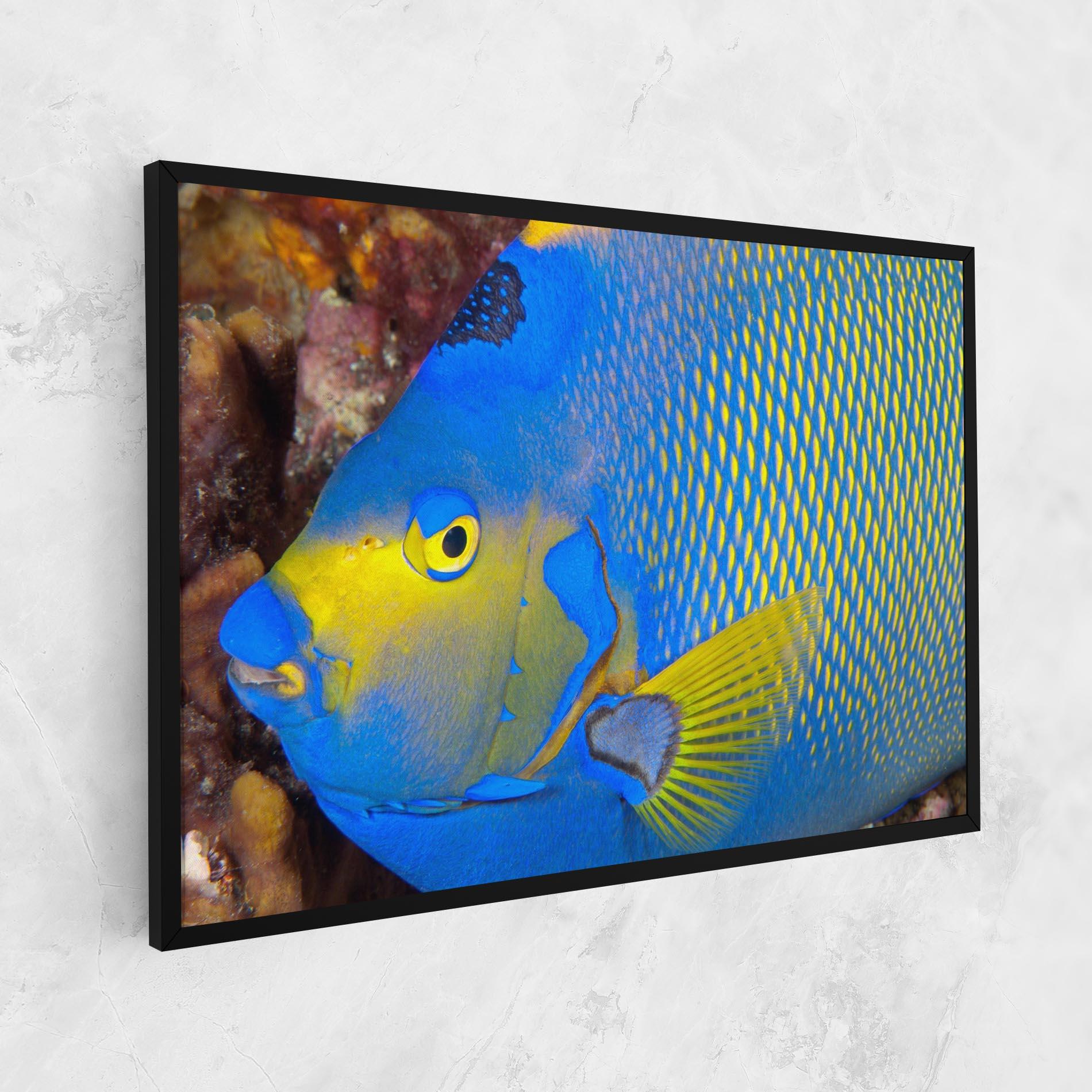 Vászonkép Blue Yellow Fish mockup 1