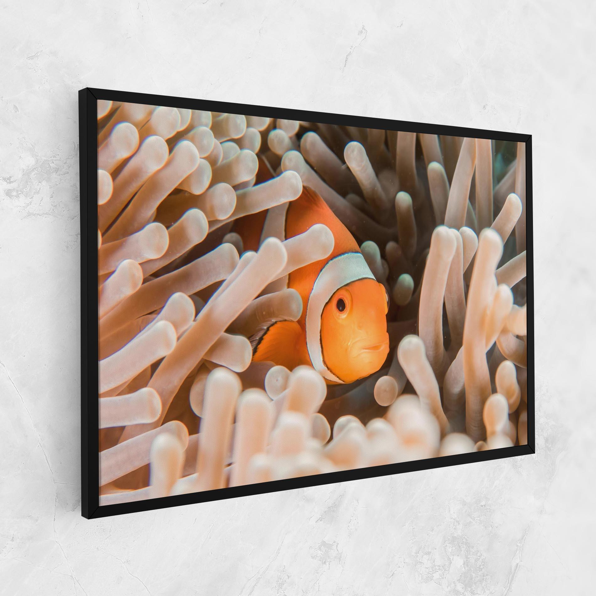 Vászonkép Cute Nemo mockup 1
