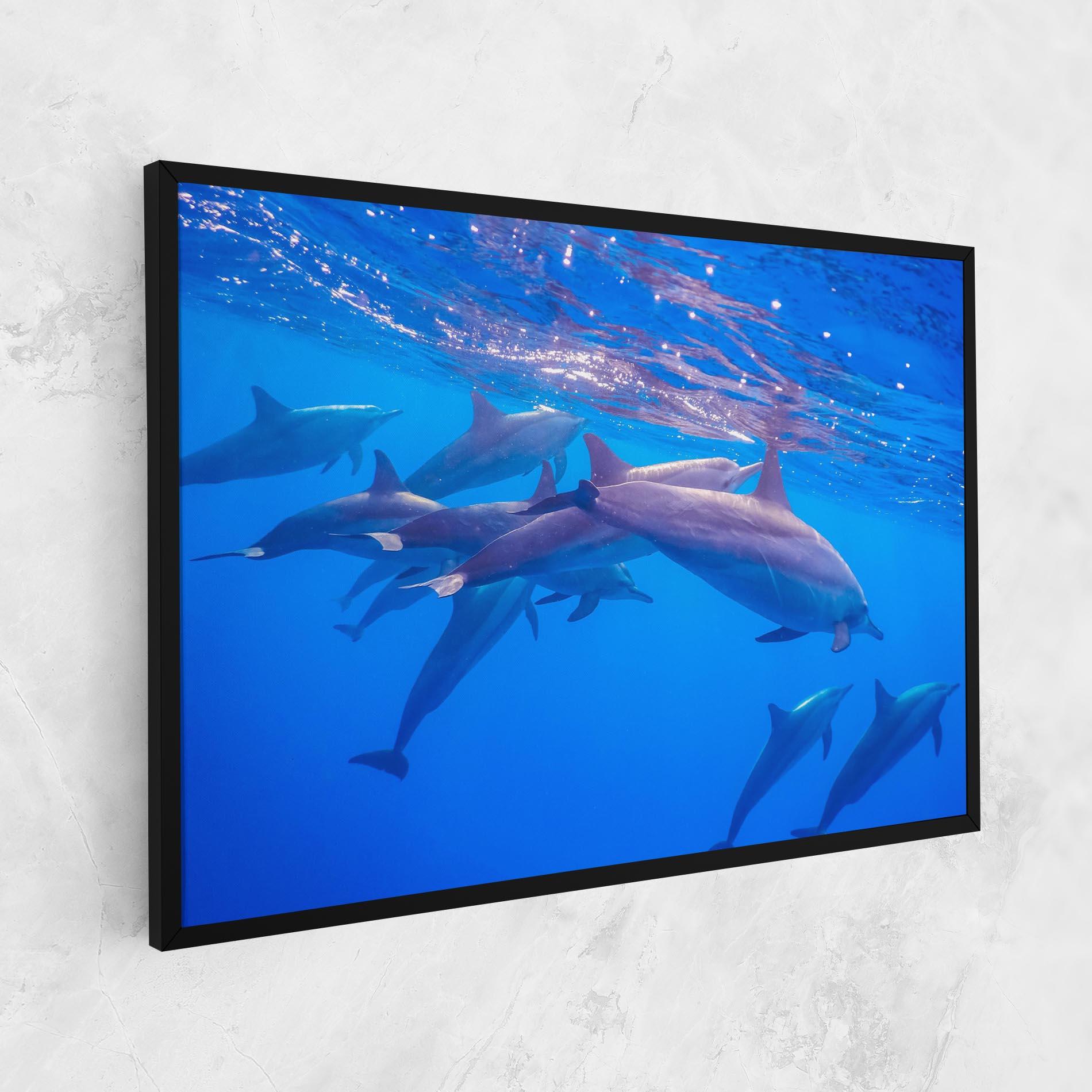 Vászonkép Dolphin Family mockup 1