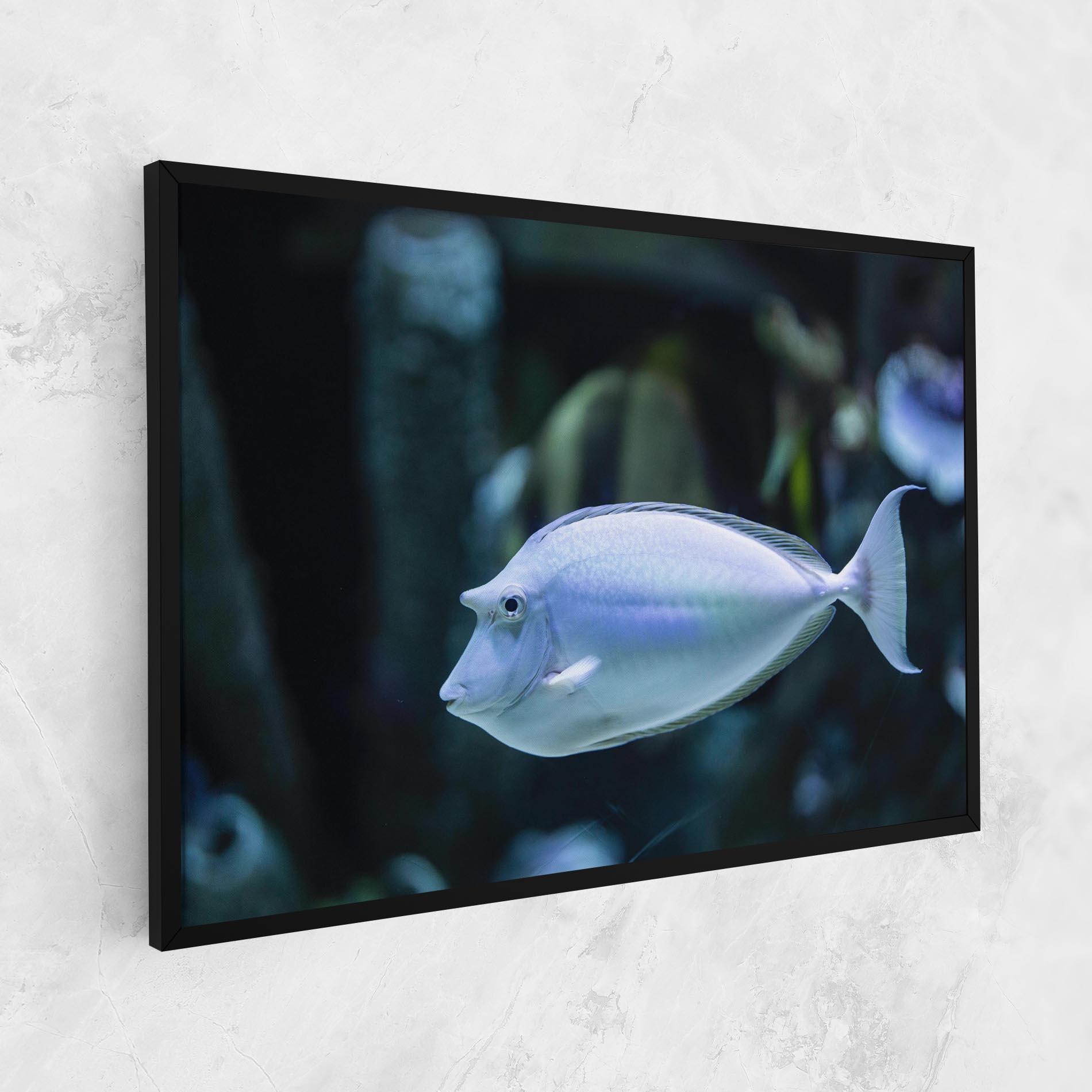 Vászonkép Funny Face Fish mockup 1