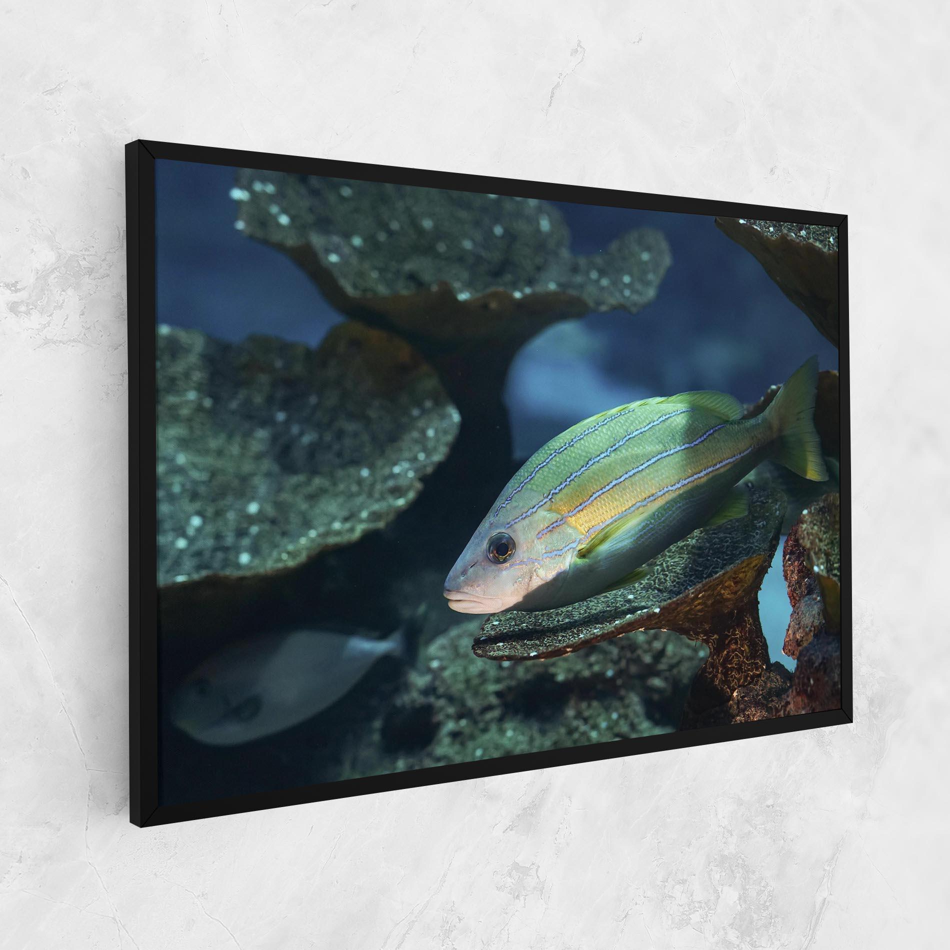 Vászonkép Green Gold Fish mockup 1