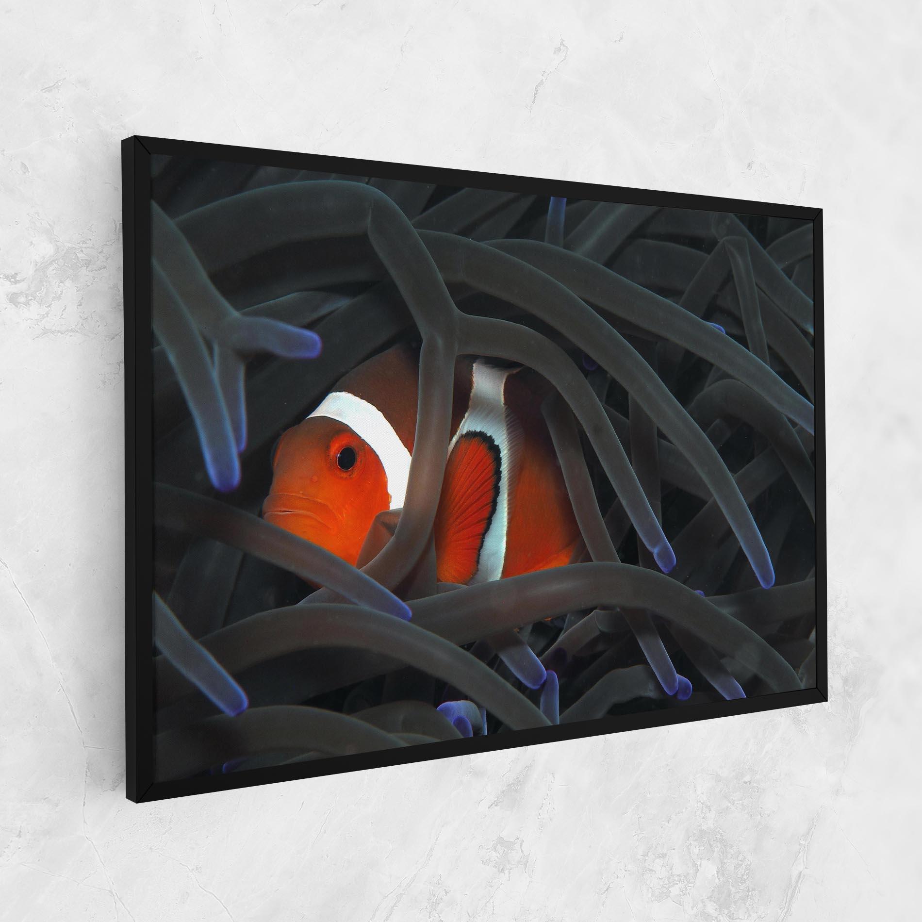 Vászonkép Nemo Hiding mockup 1