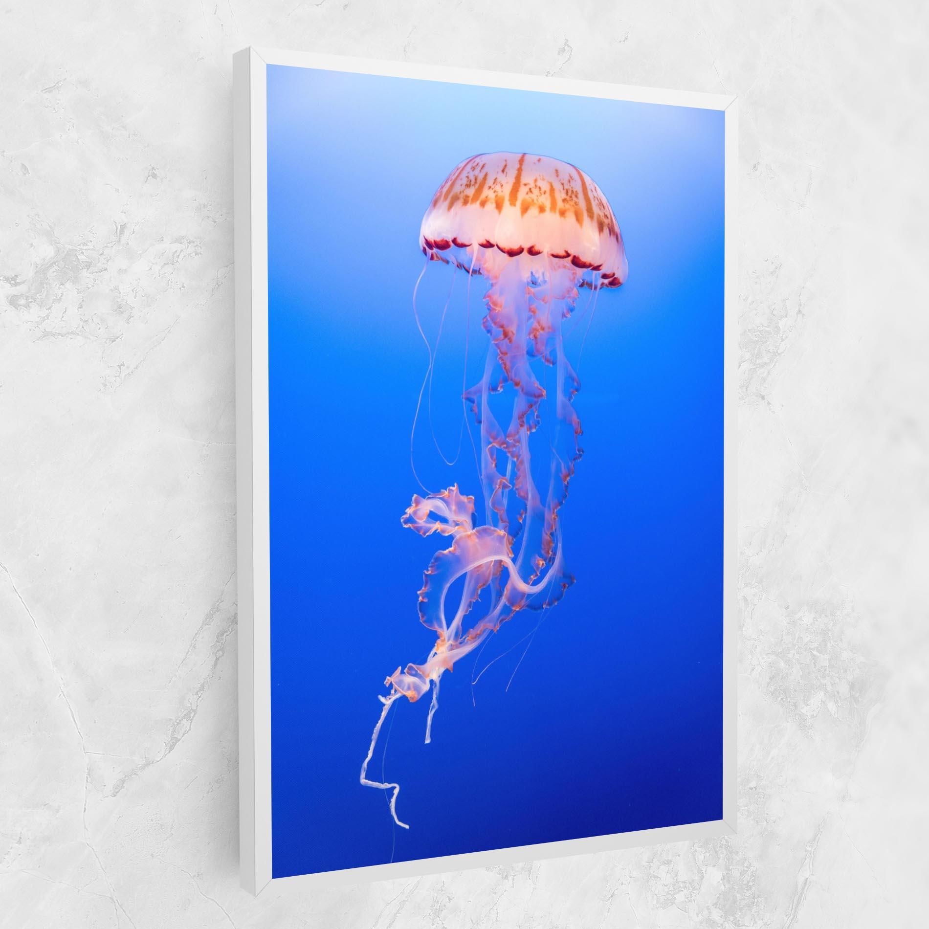 Vászonkép Pretty White Jellyfish mockup 1