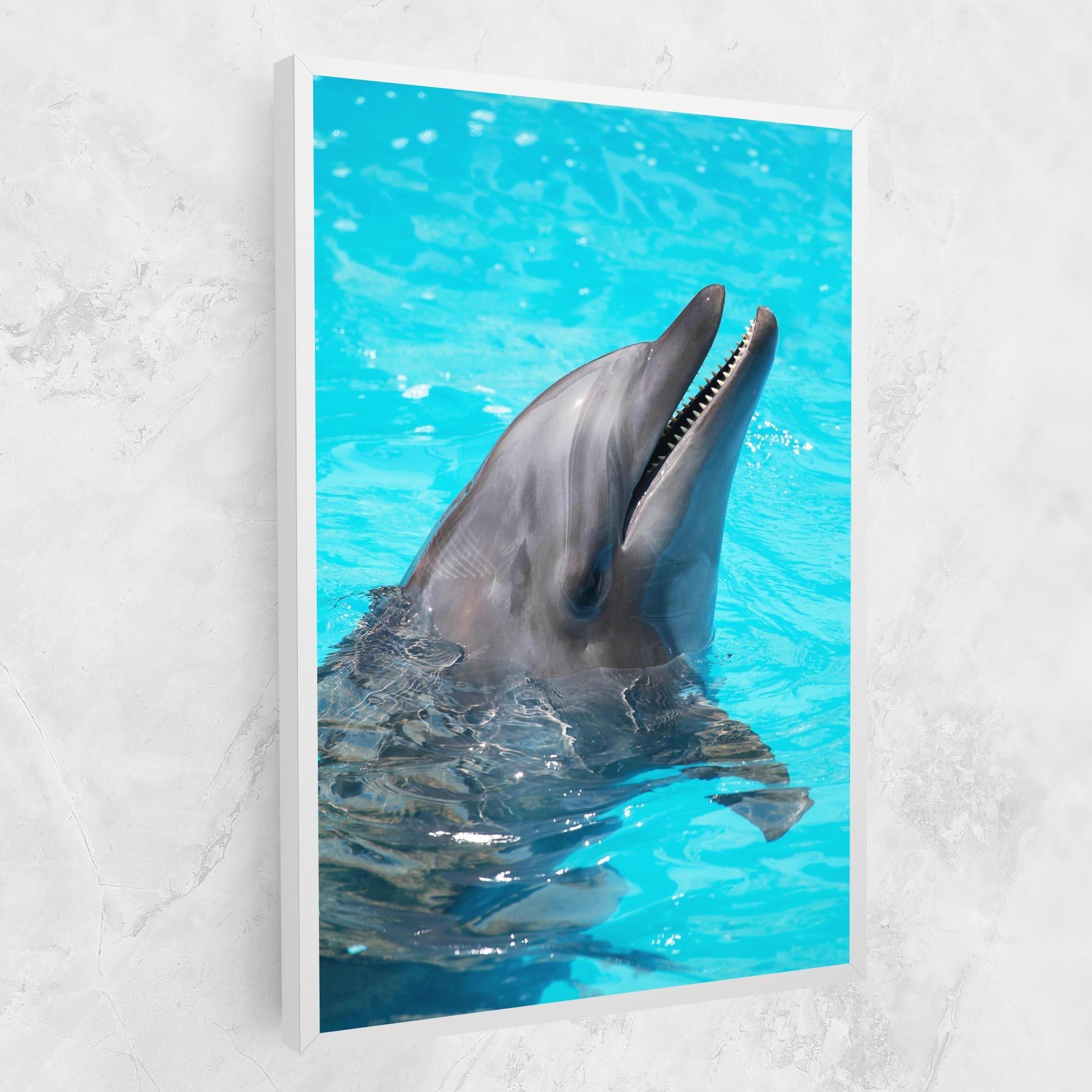 Vászonkép Trained Dolphin mockup 1