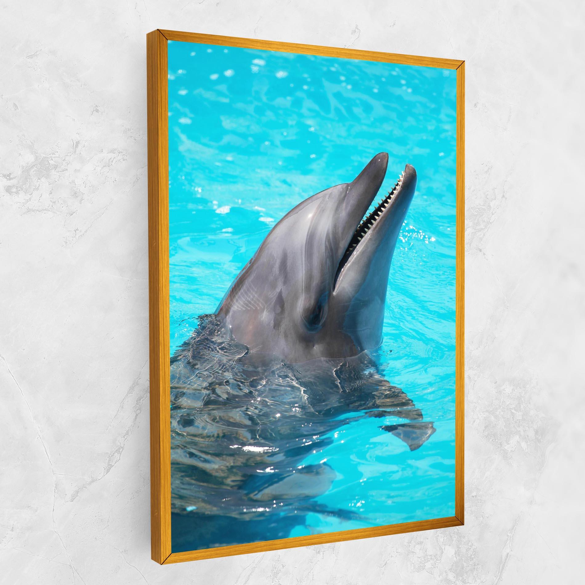 Vászonkép Trained Dolphin mockup 1