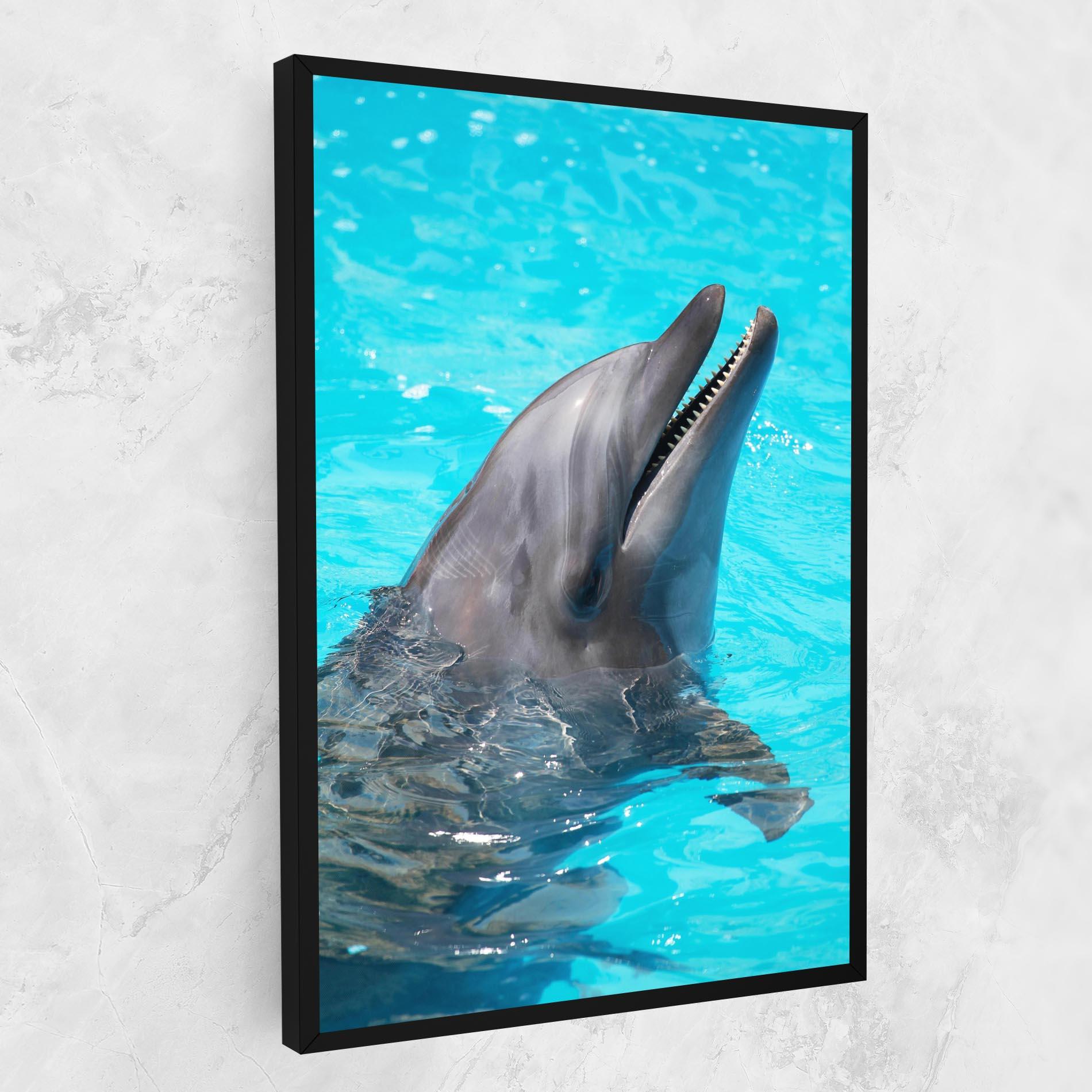 Vászonkép Trained Dolphin mockup 1