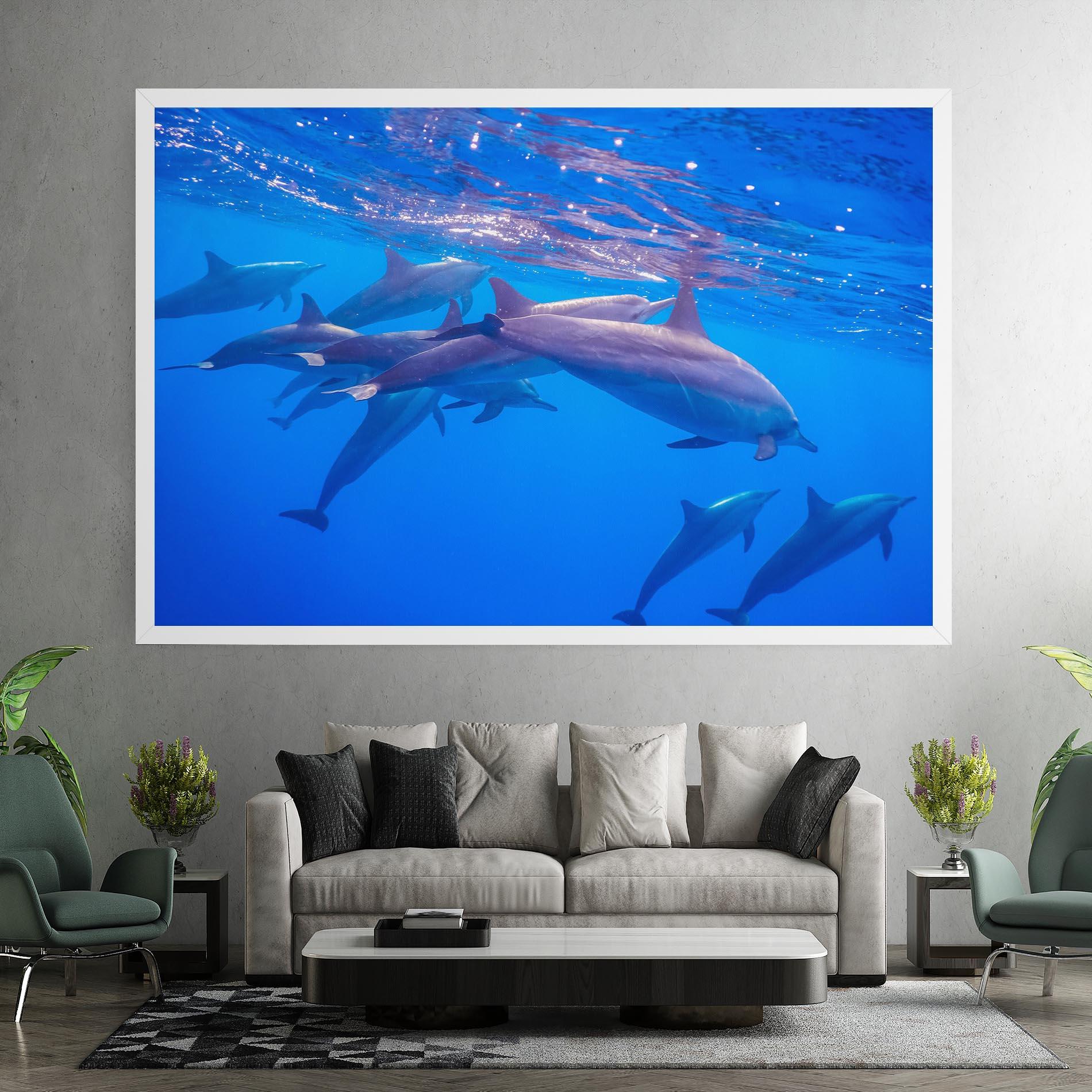 Vászonkép Dolphin Family mockup 7