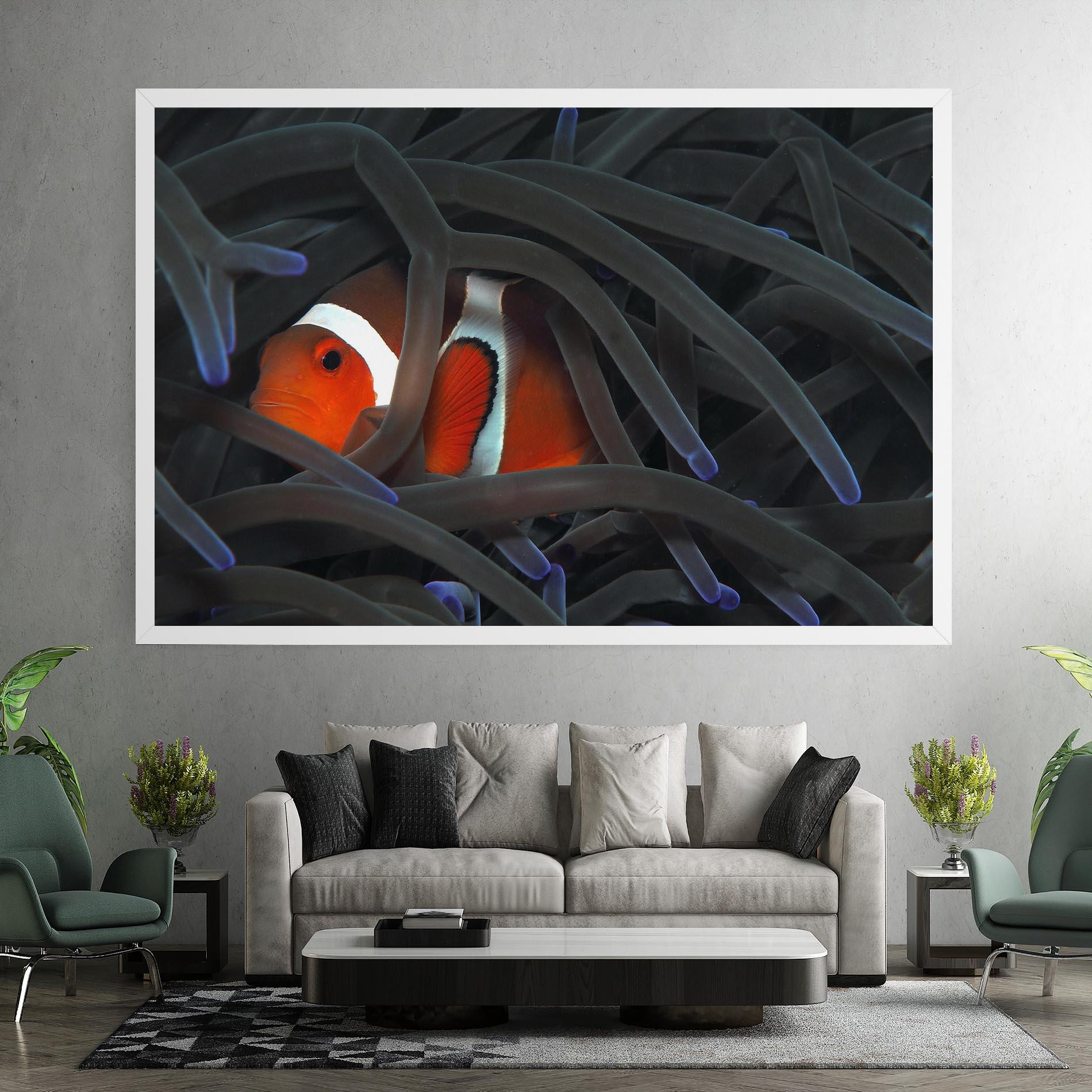 Vászonkép Nemo Hiding mockup 7