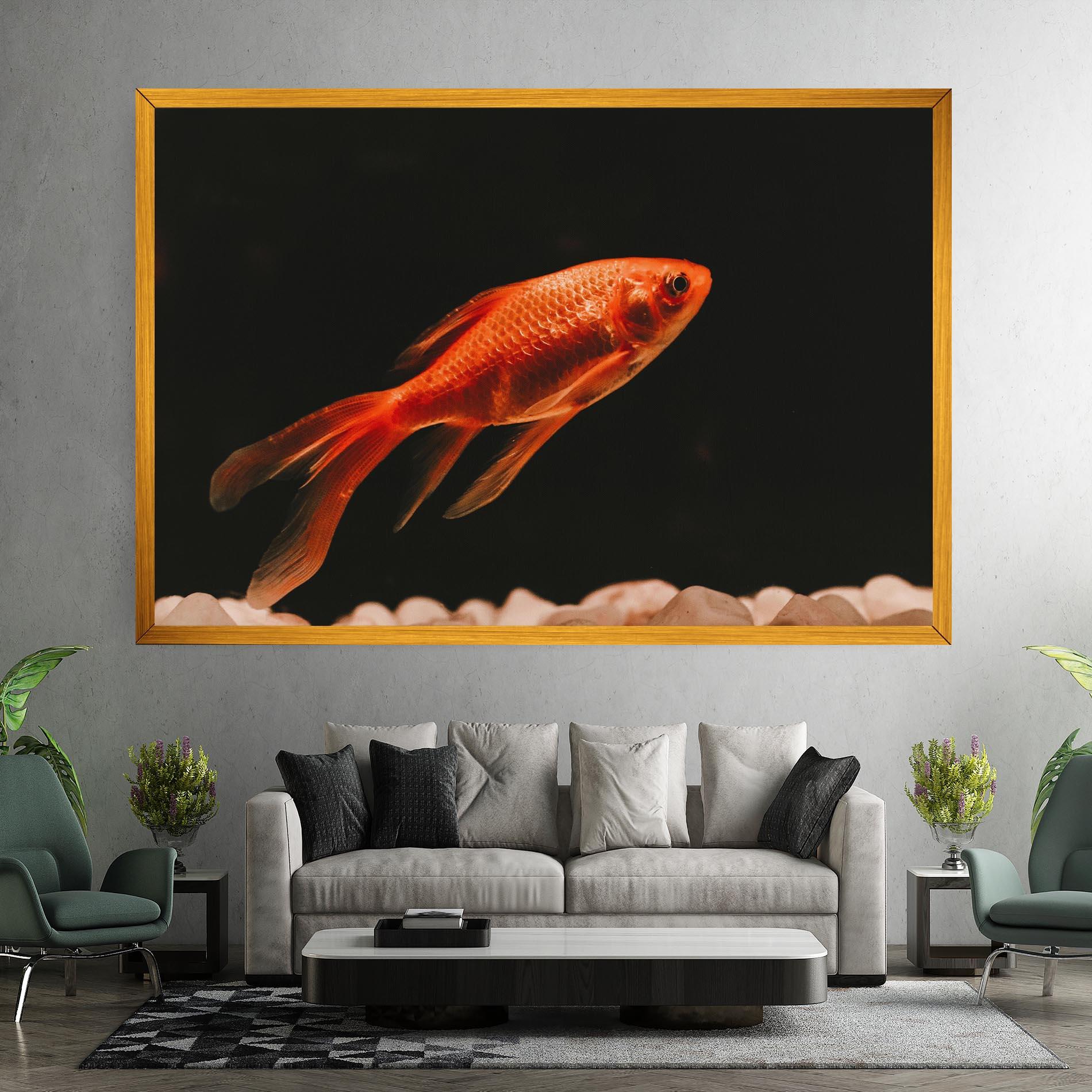 Vászonkép Small Orange Fish mockup 7