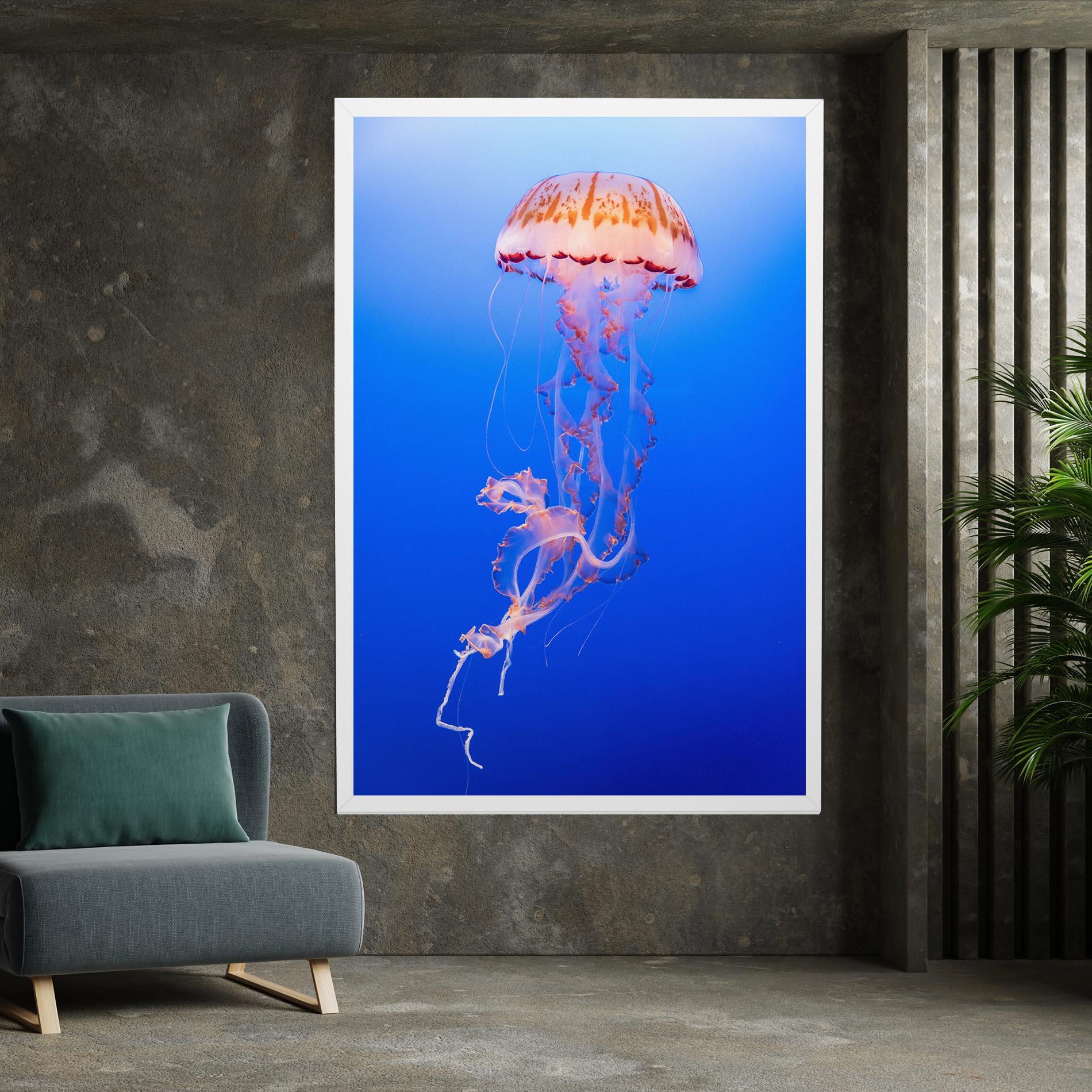 Vászonkép Pretty White Jellyfish mockup 7