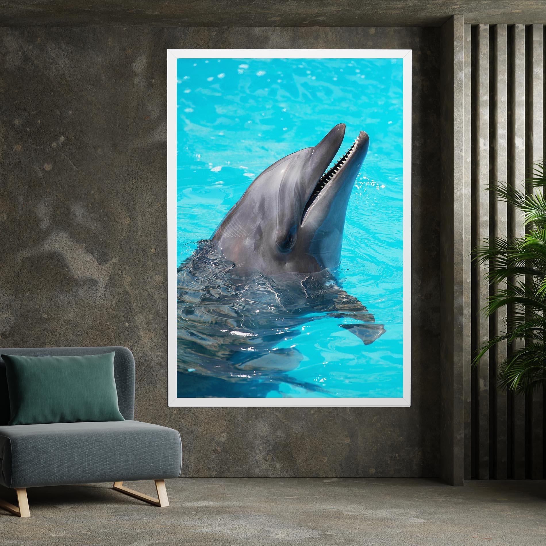 Vászonkép Trained Dolphin mockup 7