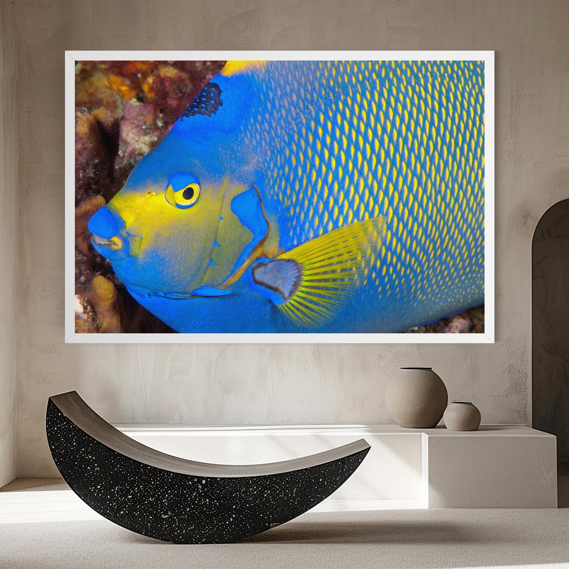 Vászonkép Blue Yellow Fish mockup 8