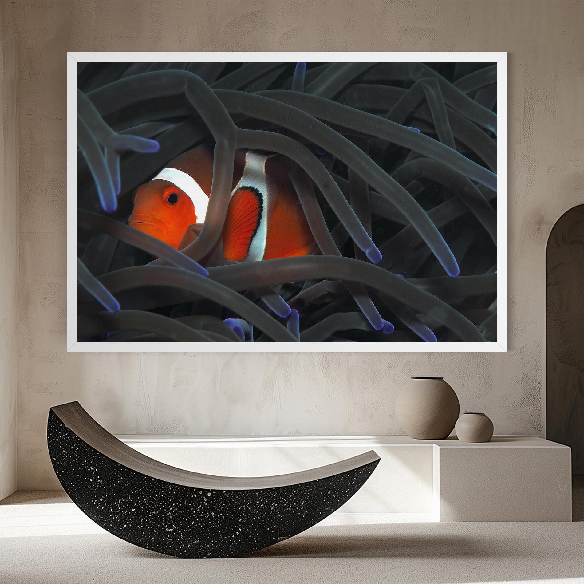 Vászonkép Nemo Hiding mockup 8