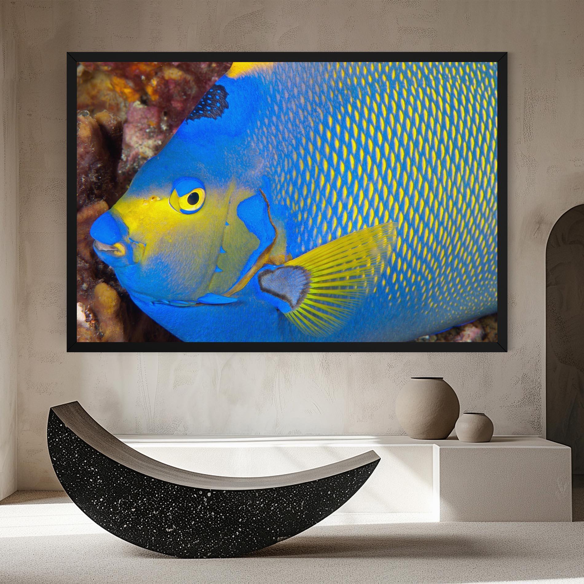 Vászonkép Blue Yellow Fish mockup 8