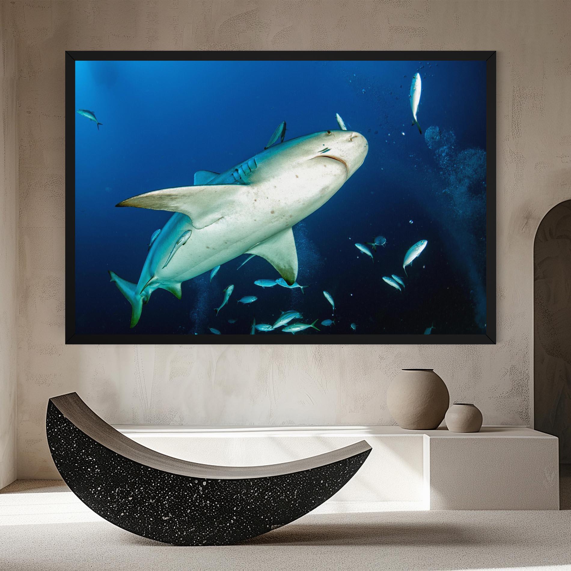 Vászonkép Bull Shark mockup 8