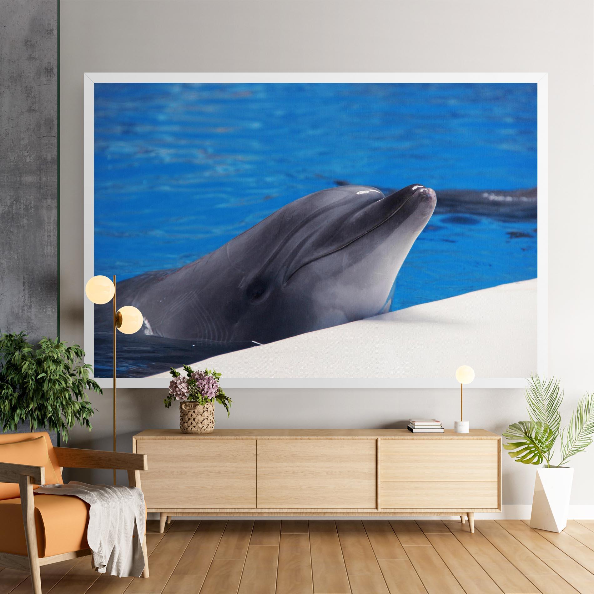 Vászonkép Cute Dolphin mockup 9