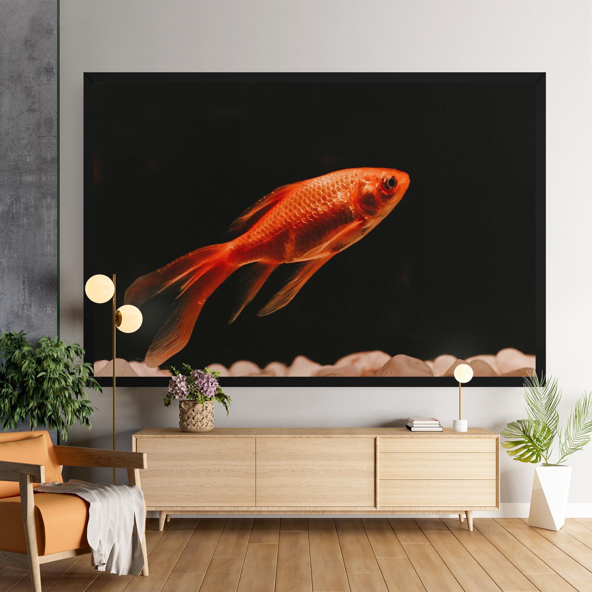 Vászonkép Small Orange Fish mockup 9