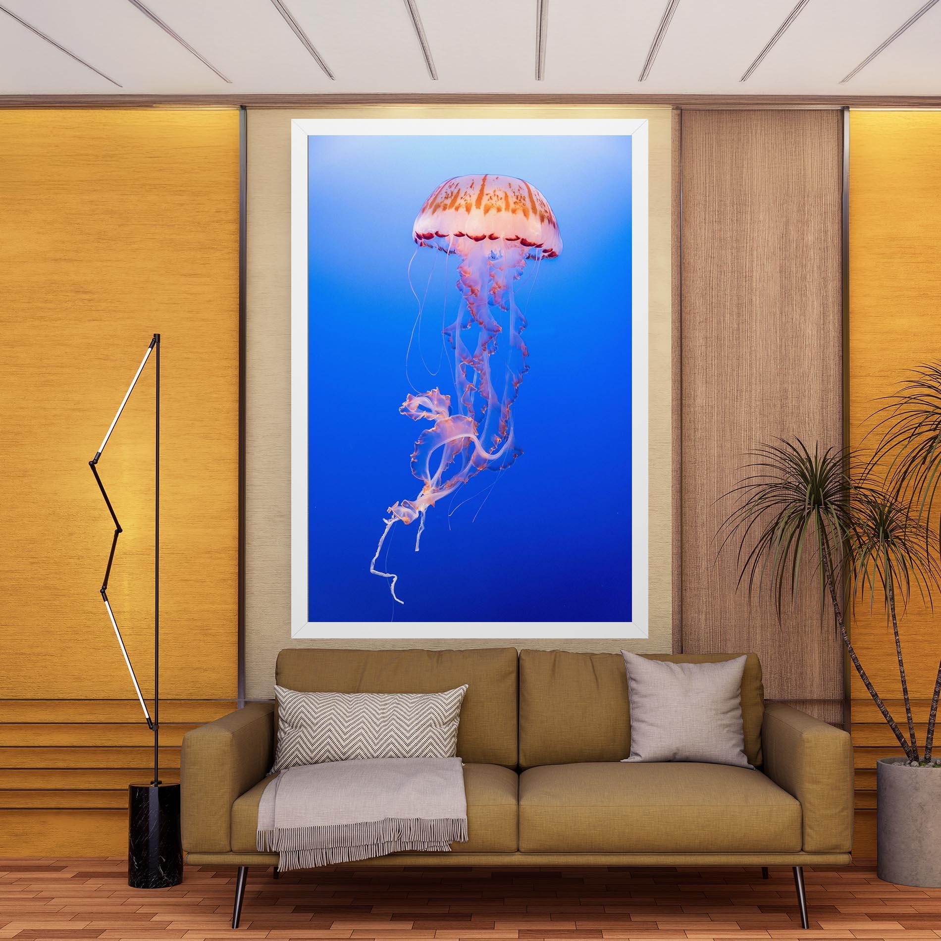 Vászonkép Pretty White Jellyfish mockup 9